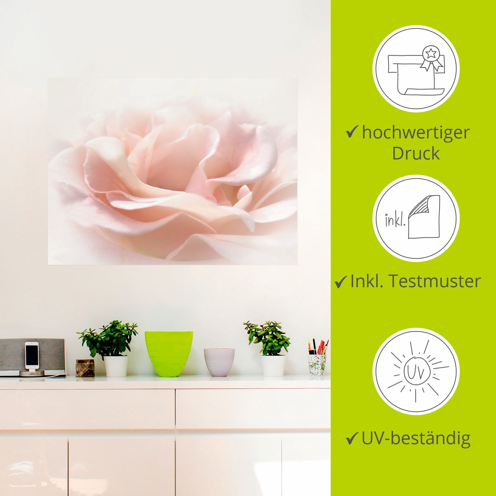 Artland Wandbild »Rose I«, Blumen, (1 St.), als Alubild, Outdoorbild, Leinwandbild, Poster, Wandaufkleber