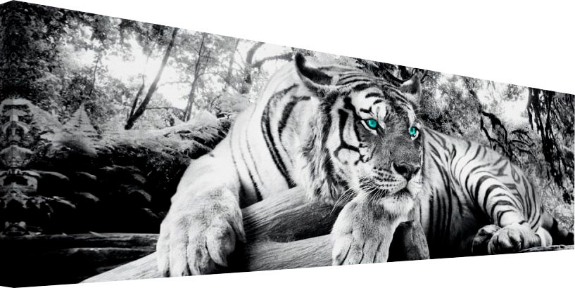 bei Wohnzimmer OTTO Raubtier - Wandbild Wandbild bestellen online Wandbild« »Tigerblick Wandbild - Reinders! - Tiger
