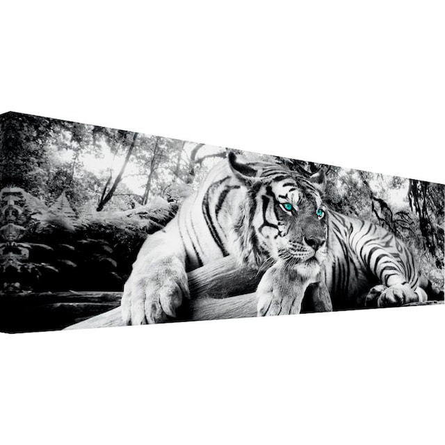 Reinders! Wandbild »Tigerblick Wandbild Tiger - Raubtier - Wandbild  Wohnzimmer - Wandbild« bestellen online bei OTTO