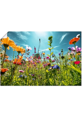 Artland Wandbild »Buntes Blumenfeld«, Blumenwiese, (1 St.), in vielen Größen &... kaufen