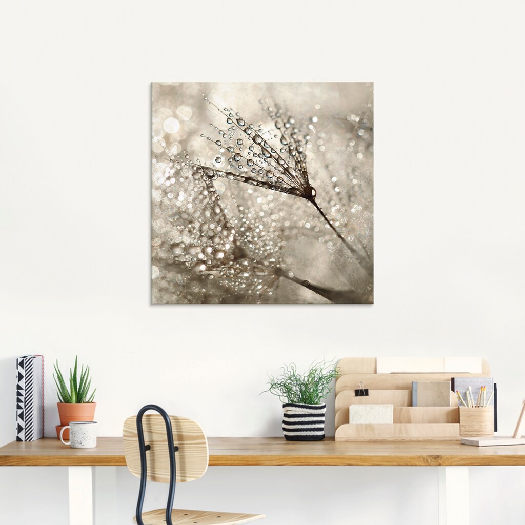 Artland Glasbild »Pusteblume Tautropfen I«, Blumen, (1 St.)