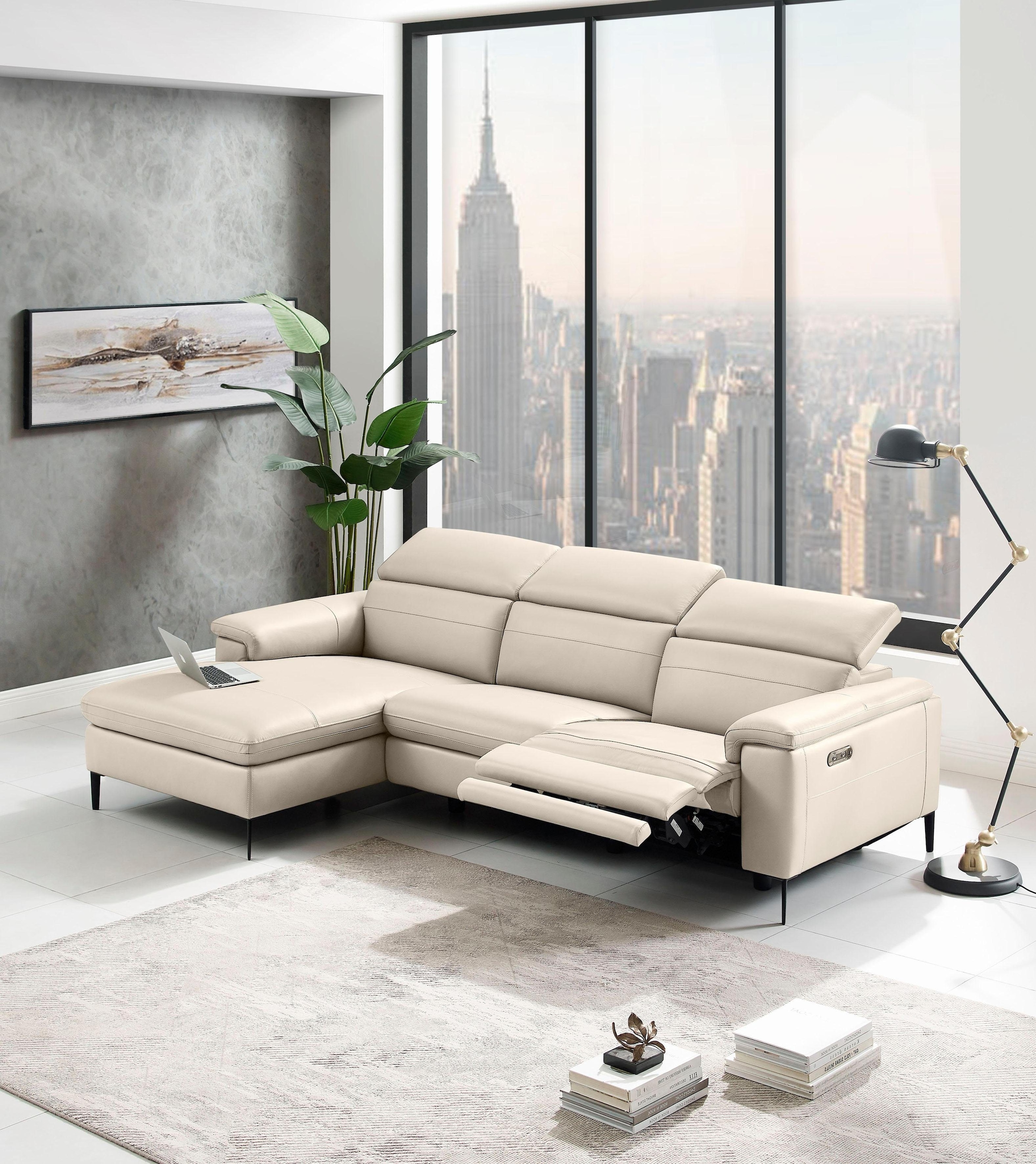 Leder-Ecksofa