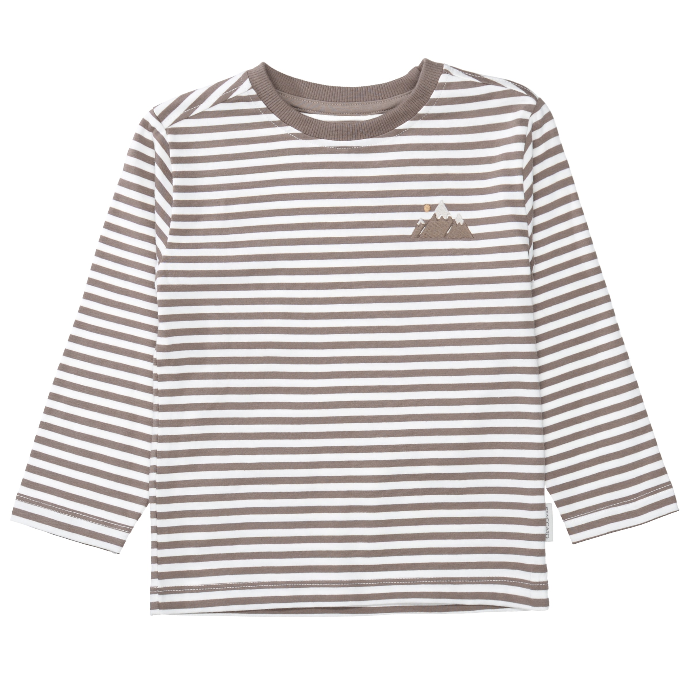 STACCATO Langarmshirt Packung, 2 2er Pack / gestreift-bedruckt / für Boys