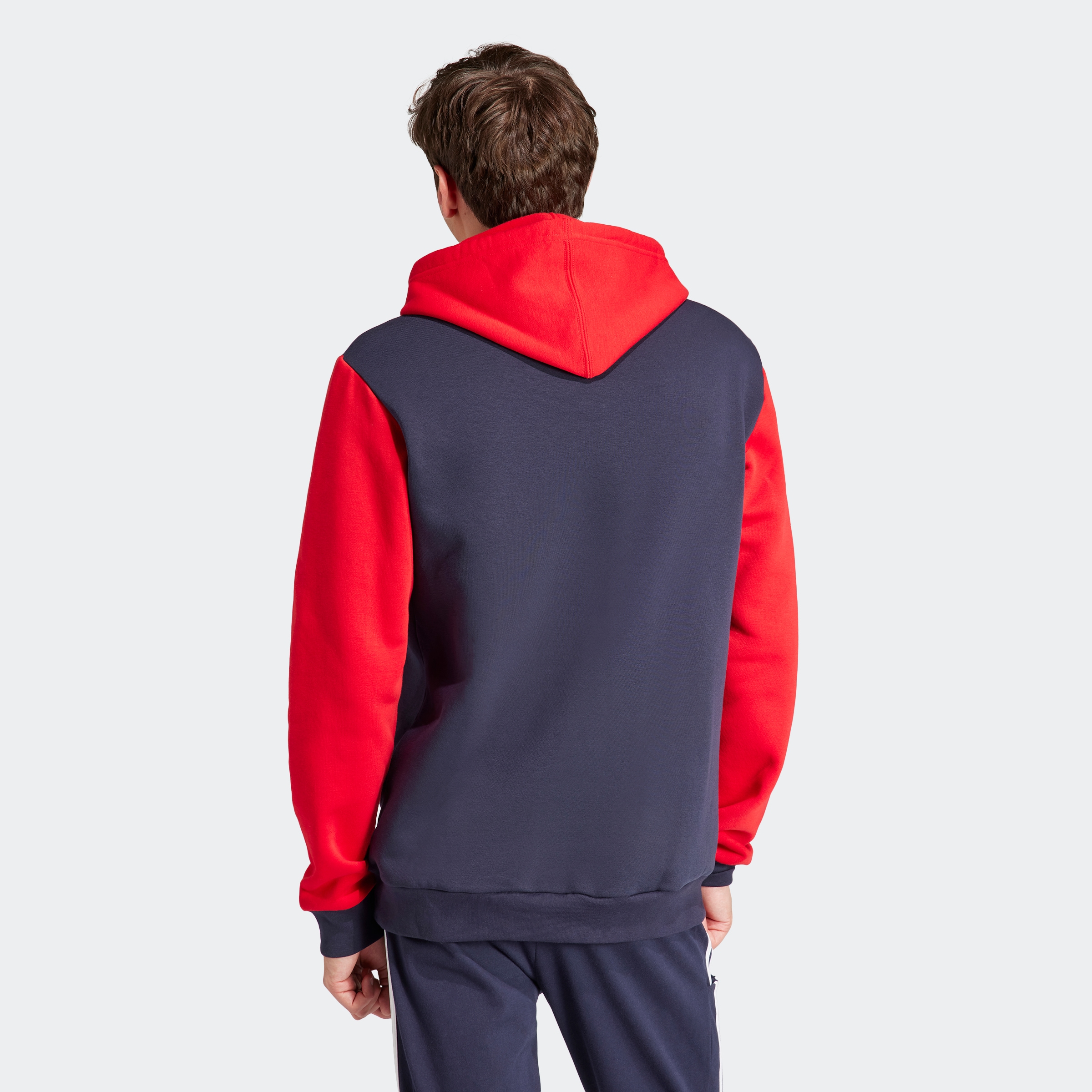 adidas Sportswear Kapuzensweatshirt »ESSENTIALS BIG LOGO HOODIE«