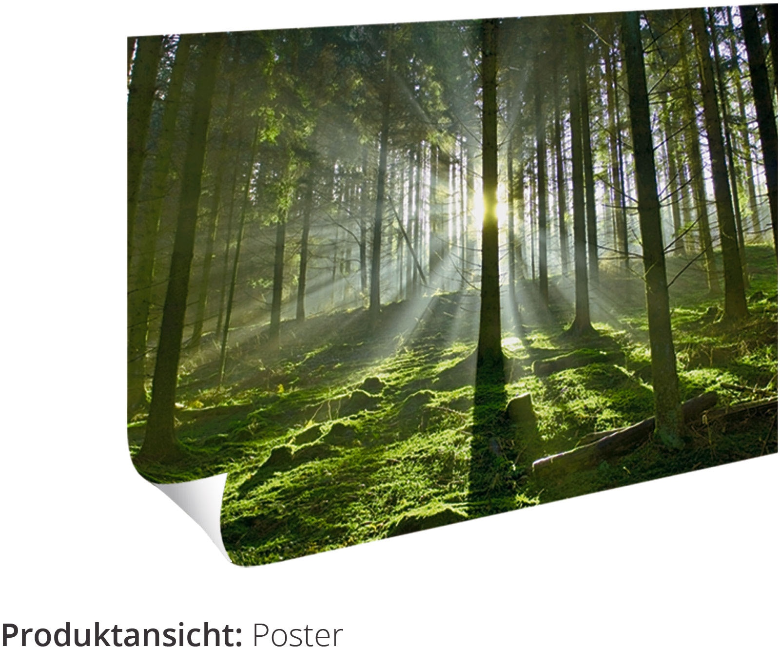 Artland Wandbild »Landschaft im Klausbachtal«, Waldbilder, (1 St.), als  Alubild, Leinwandbild, Wandaufkleber oder Poster in versch. Größen im OTTO  Online Shop