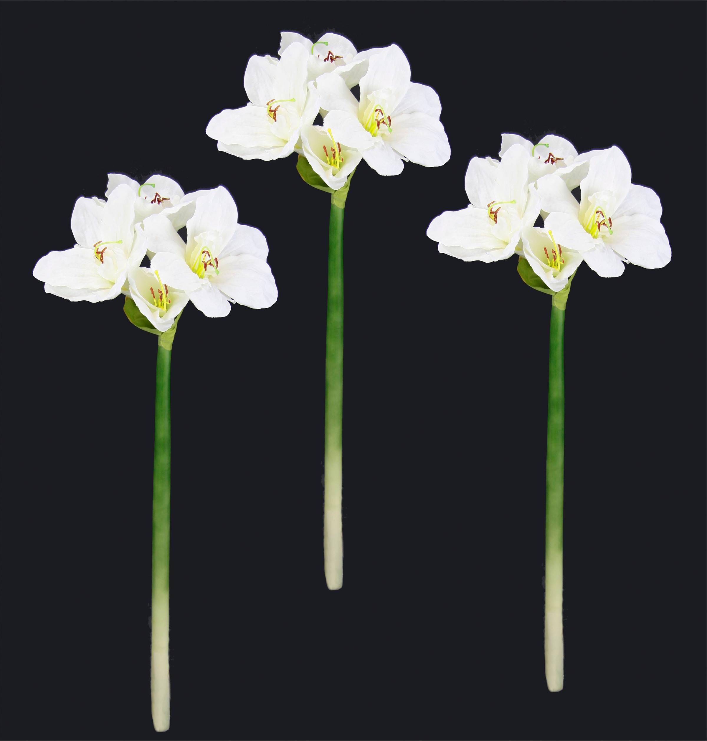 I.GE.A. Kunstblume »Amaryllis«, Kunst-Stielblume, 3er Set