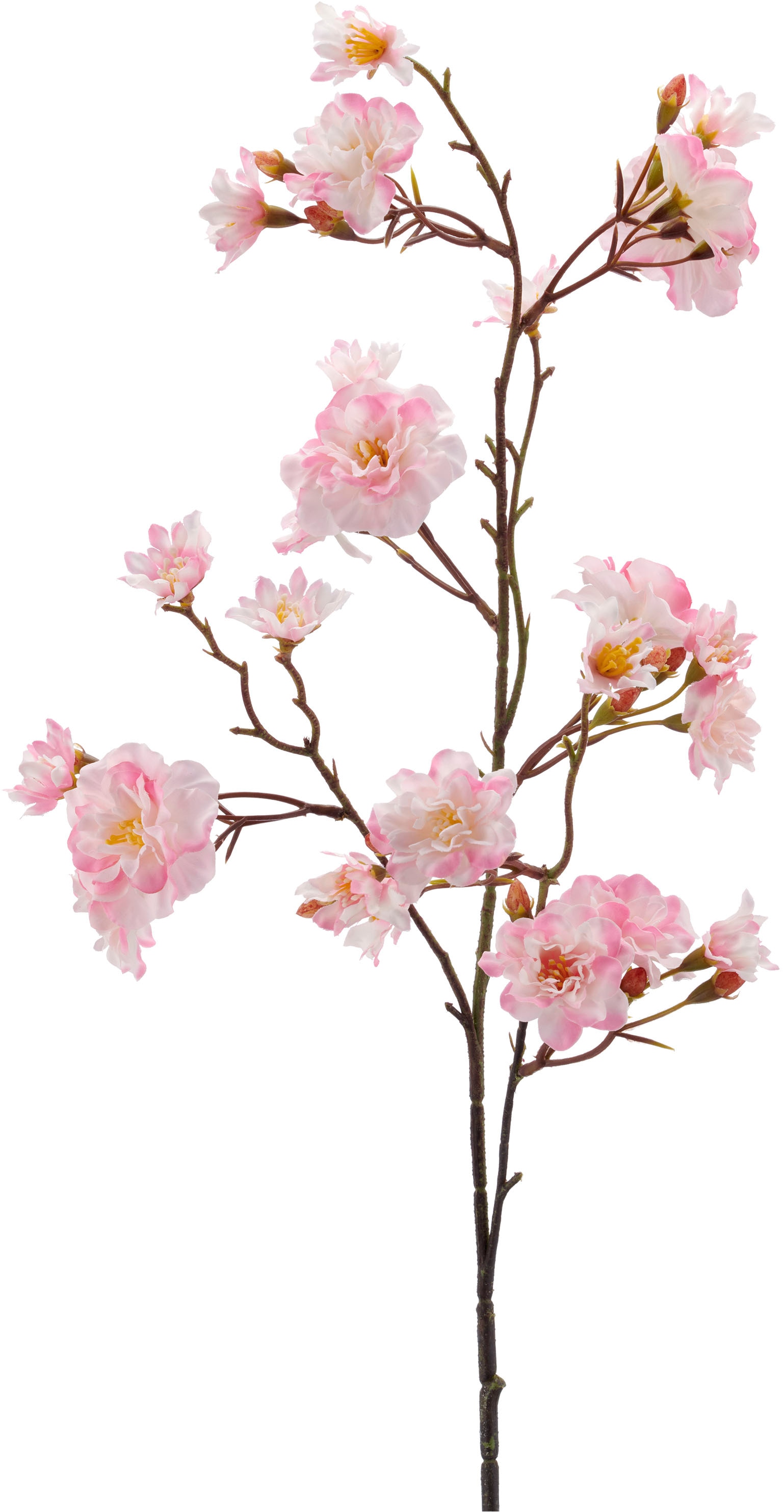 Creativ green Kunstzweig »Kirschblütenzweig« mit traumhaft schönen Blüten