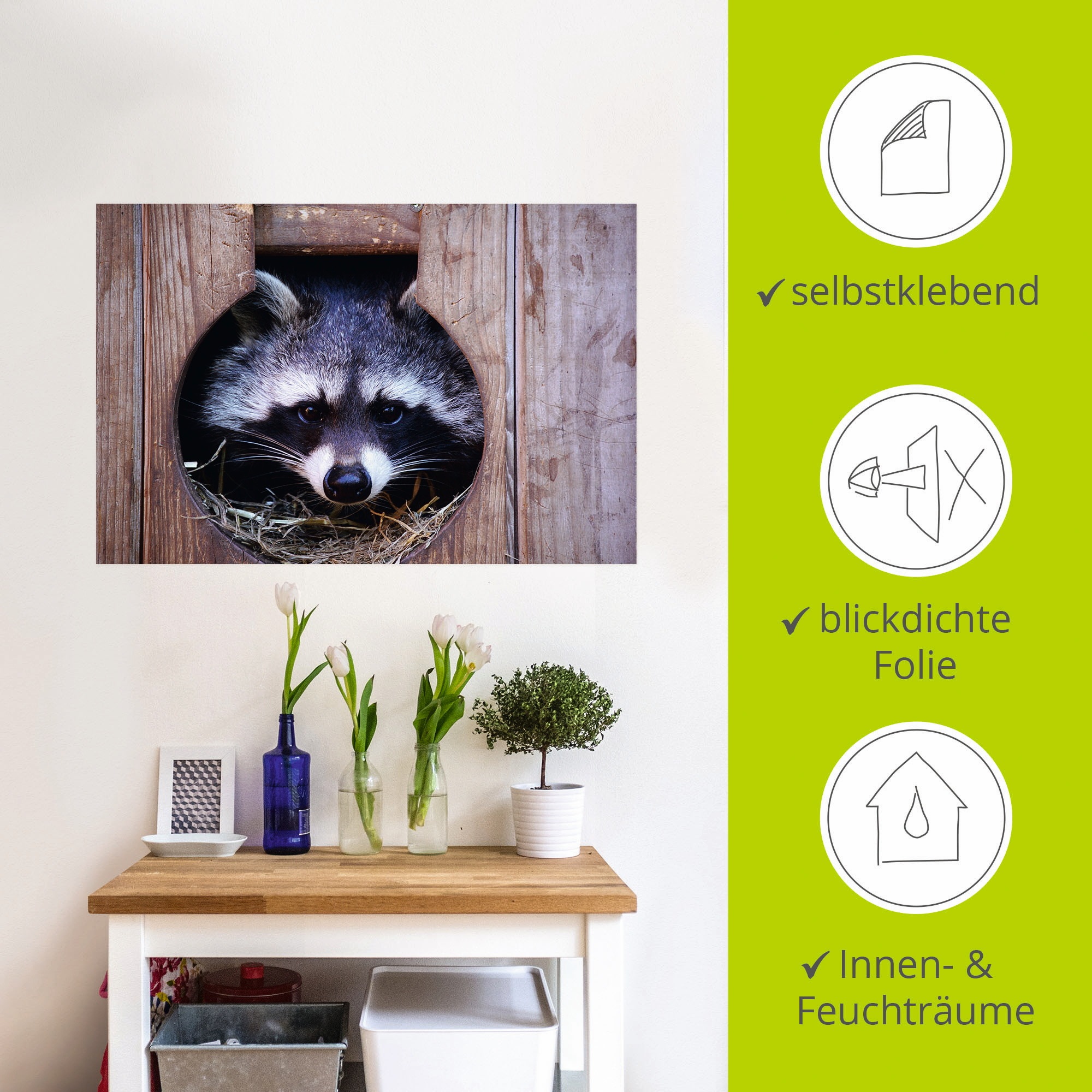 Artland Wandbild »Niedlicher kleiner Waschbär«, Wildtiere, (1 St.), als Leinwandbild, Wandaufkleber in verschied. Größen