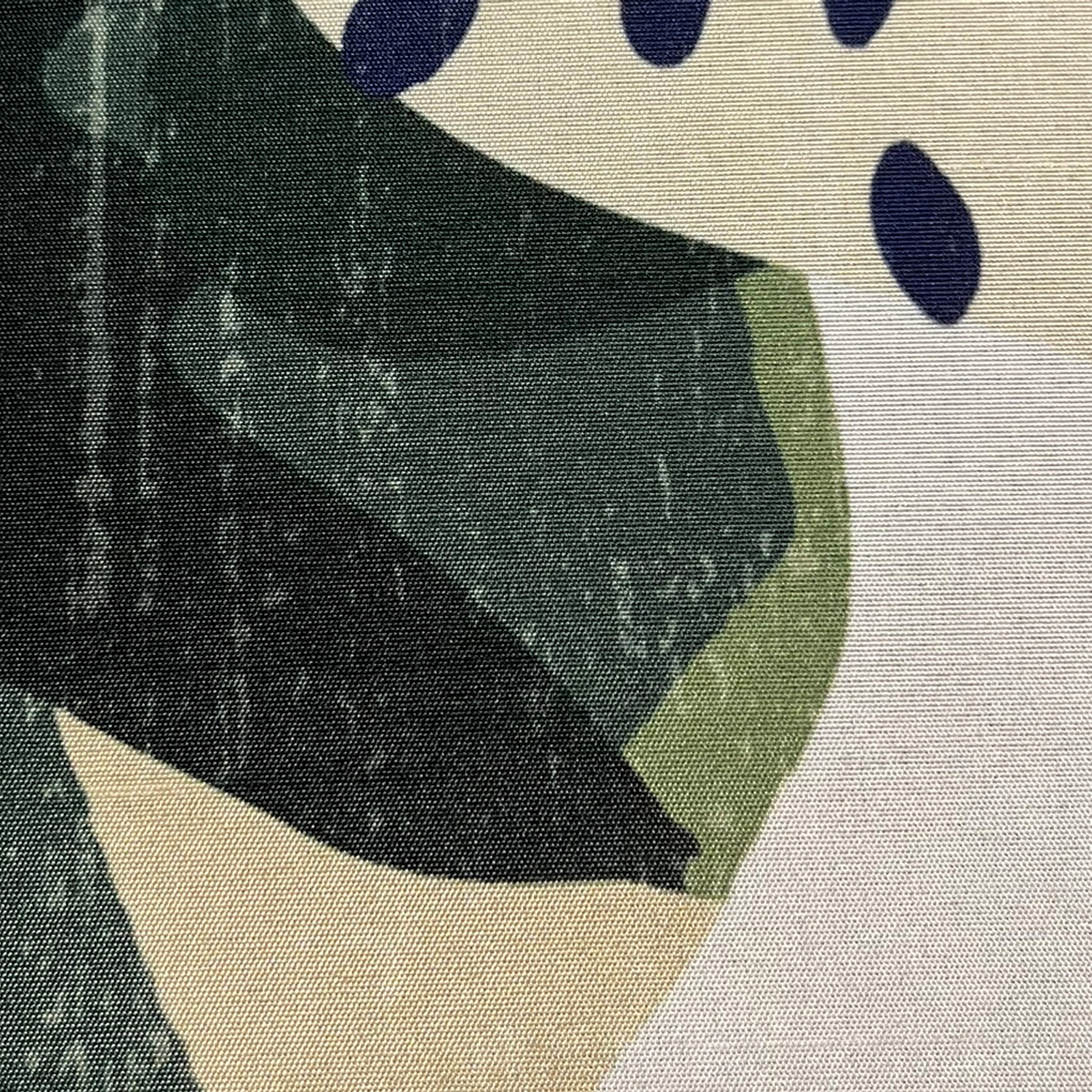 HOME WOHNIDEEN Schiebegardine »TROPI« Paneelwagen 1 Stk. tlg. digital bedruckt