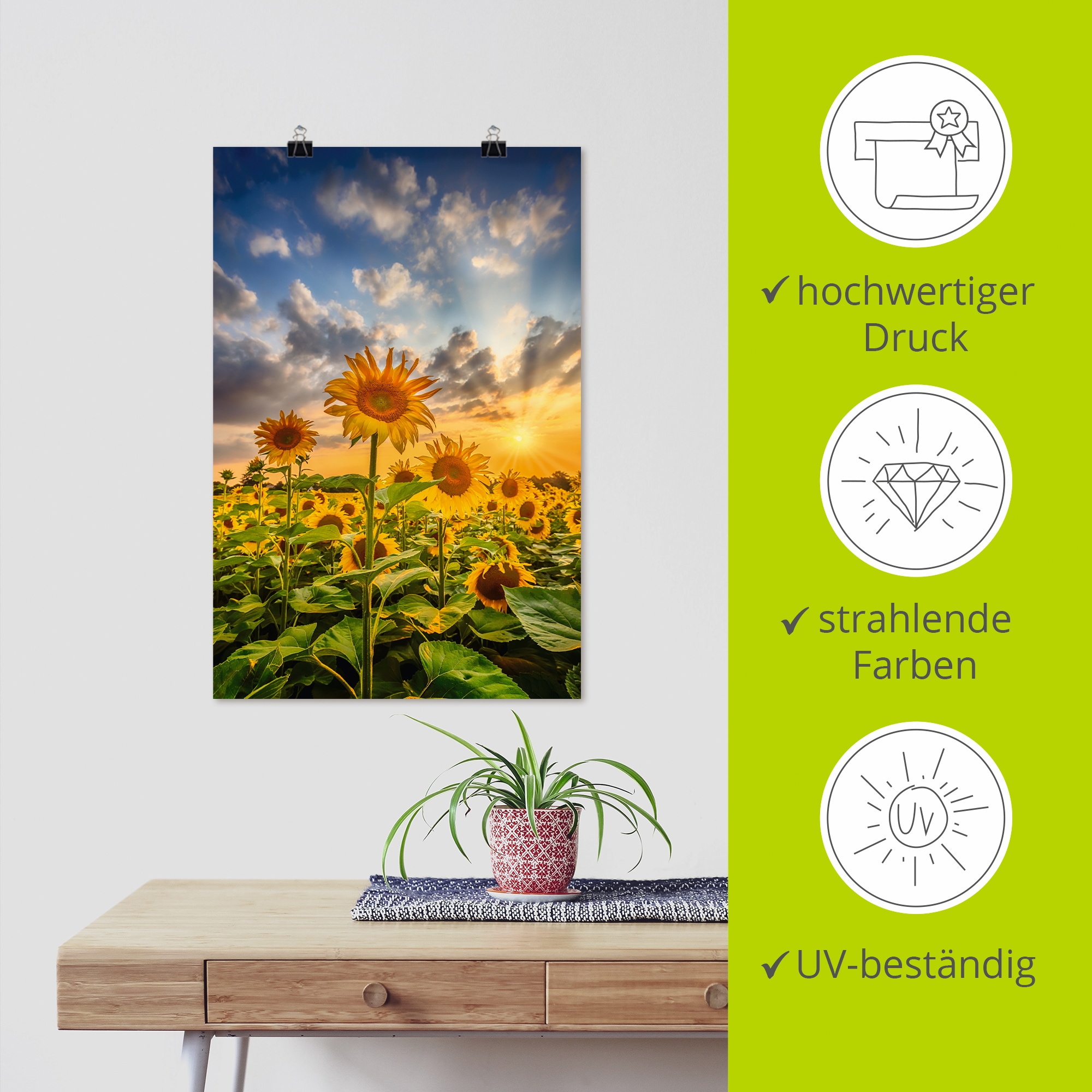 Artland Wandbild »Sonnenblumen im Sonnenuntergang« Blumenbilder 1 Stk. tlg. als Leinwandbild, Poster in verschied. Größen