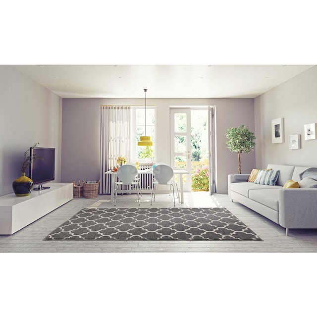 andas Teppich »Valon«, rechteckig, Indoor und Outdoor geeignet, Wohnzimmer  kaufen im OTTO Online Shop