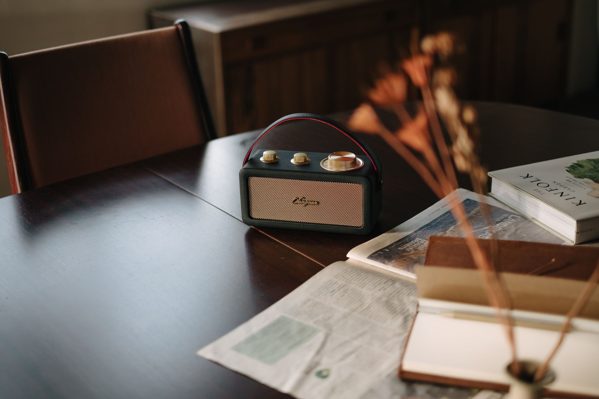 Sangean Radio »RA-101« (Bluetooth FM-Tuner )