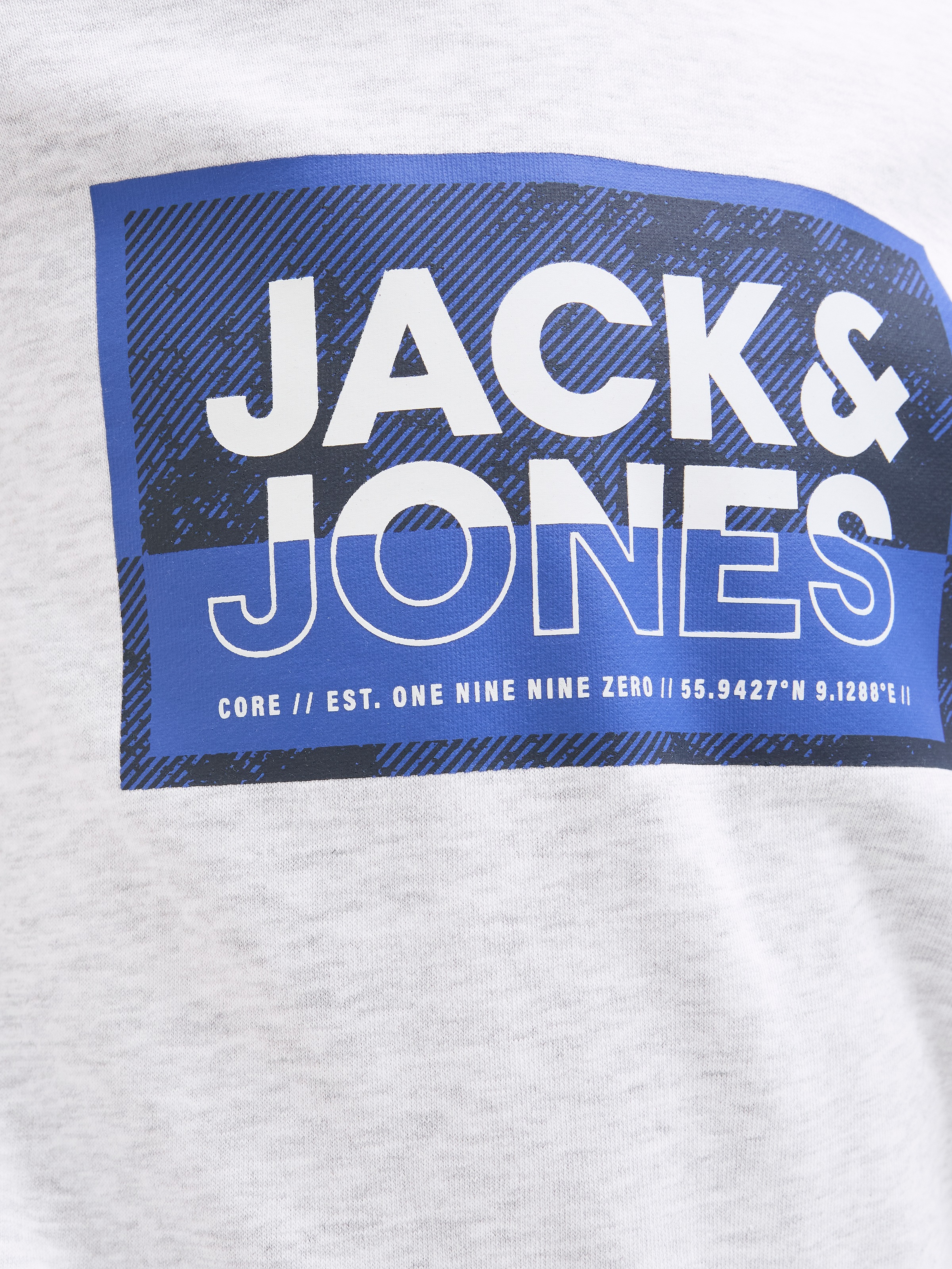 Jack & Jones Junior Hoodie »JCOLOGAN SS24 PRINT SWEAT HOOD SN JNR«