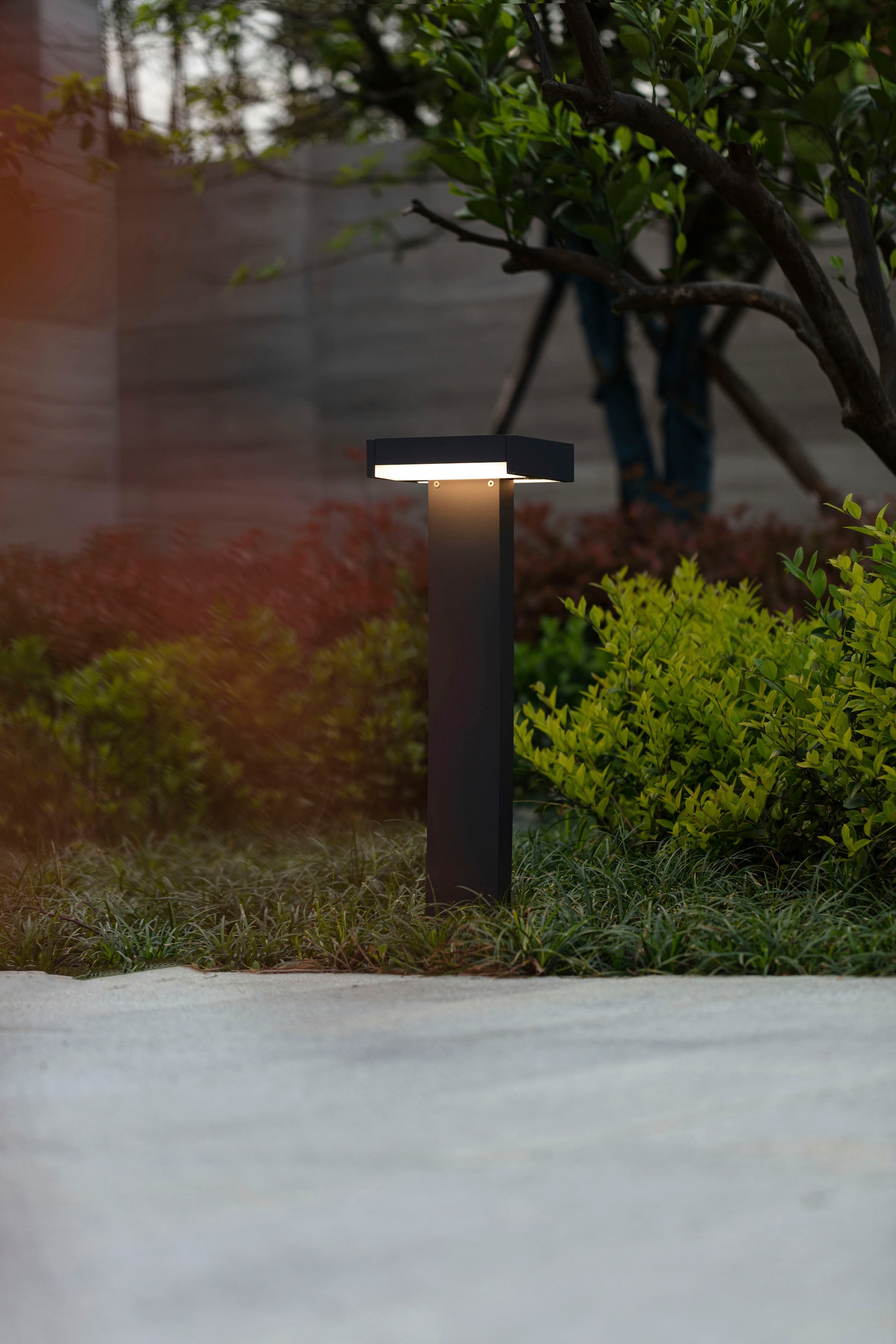 LUTEC LED Außen-Wandleuchte »CONROY«, Leuchtmittel LED-Modul | LED fest integriert, verstellbar