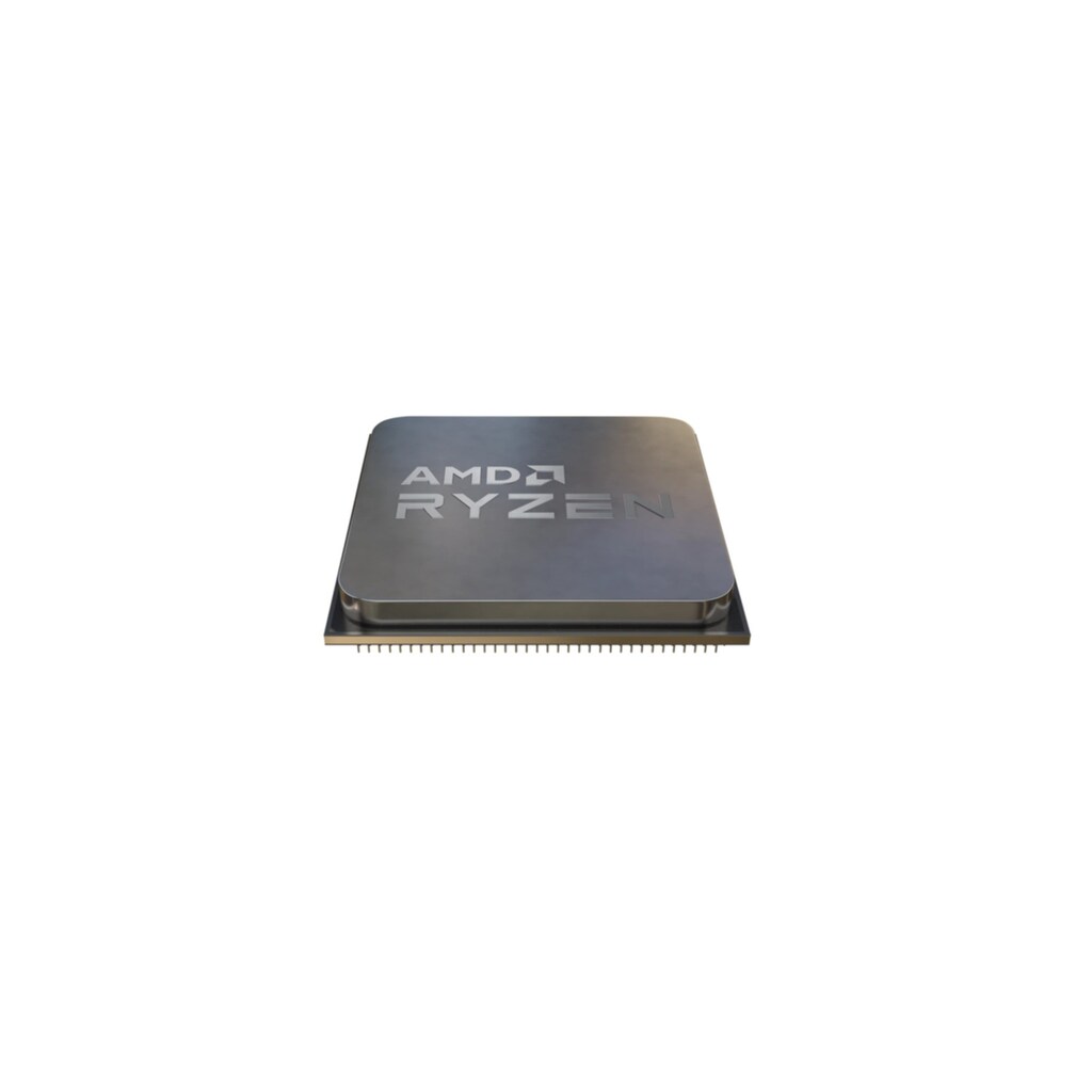 AMD Prozessor »4100«