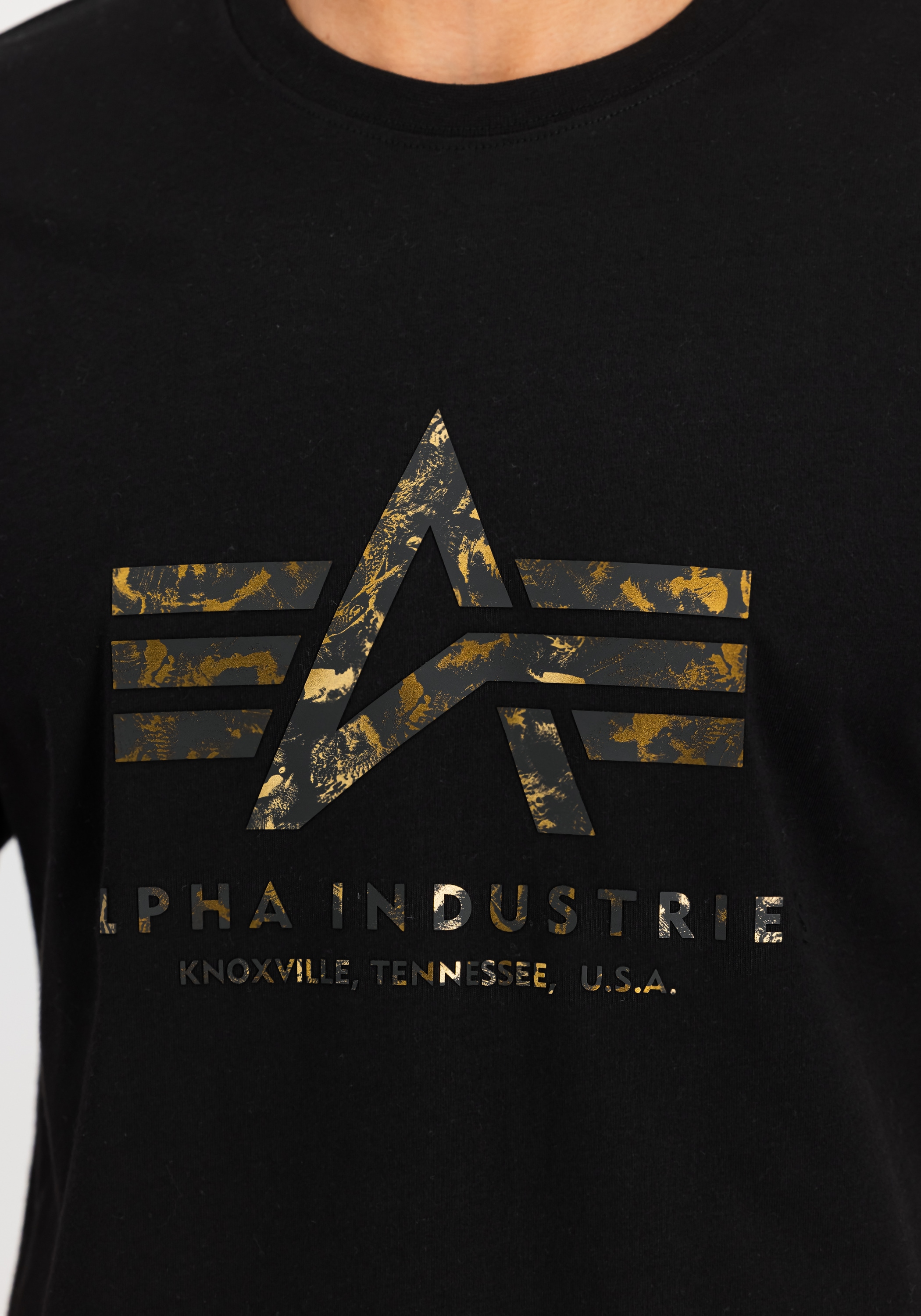 Alpha Industries T-Shirt »Basic T-Shirt BL Effect Print«