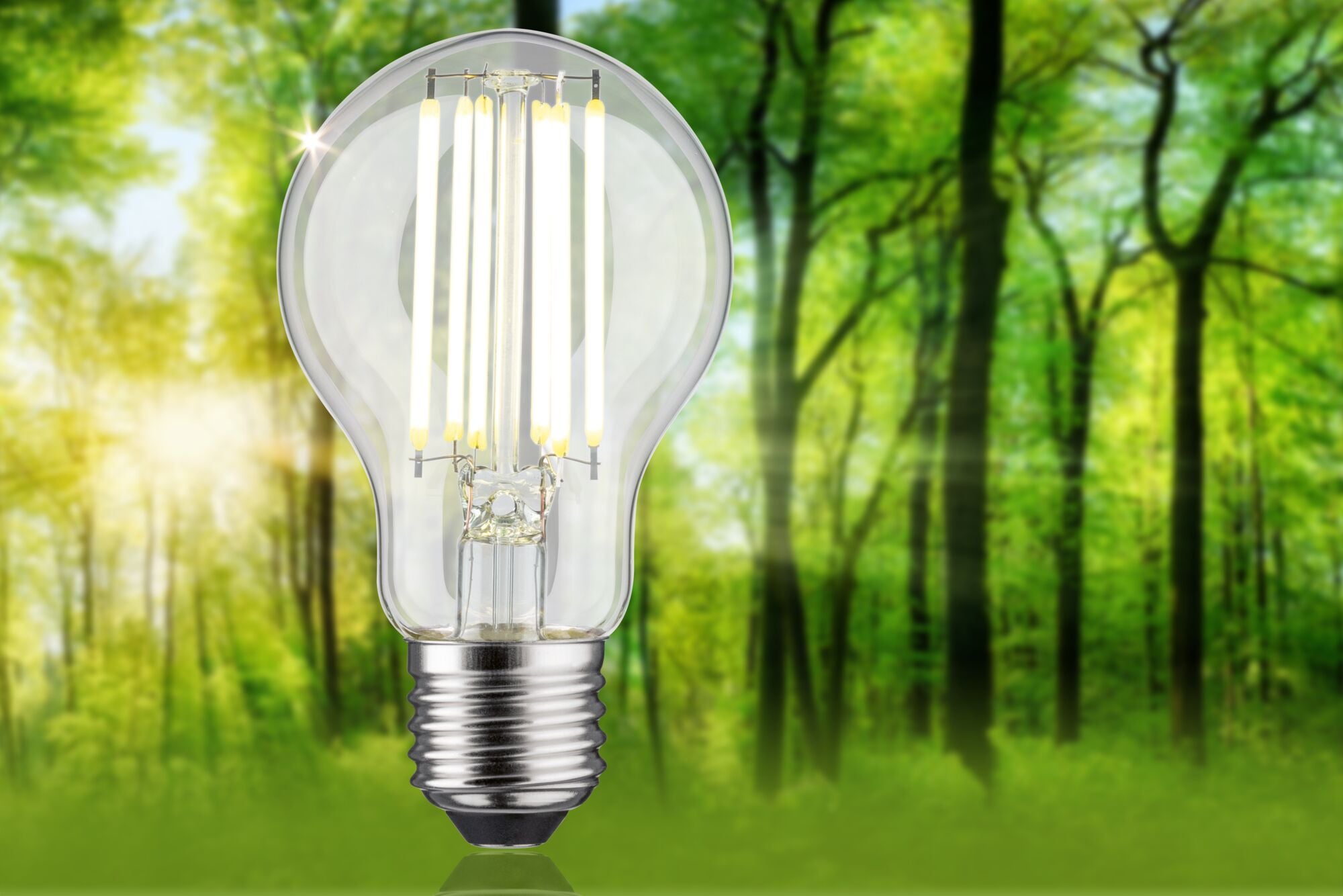Paulmann LED-Leuchtmittel »Efficient-Line Filament 230V LED Birne E27 1 St. 1055lm 5W 4000K Klar« E27 1 Stk. Neutralweiß