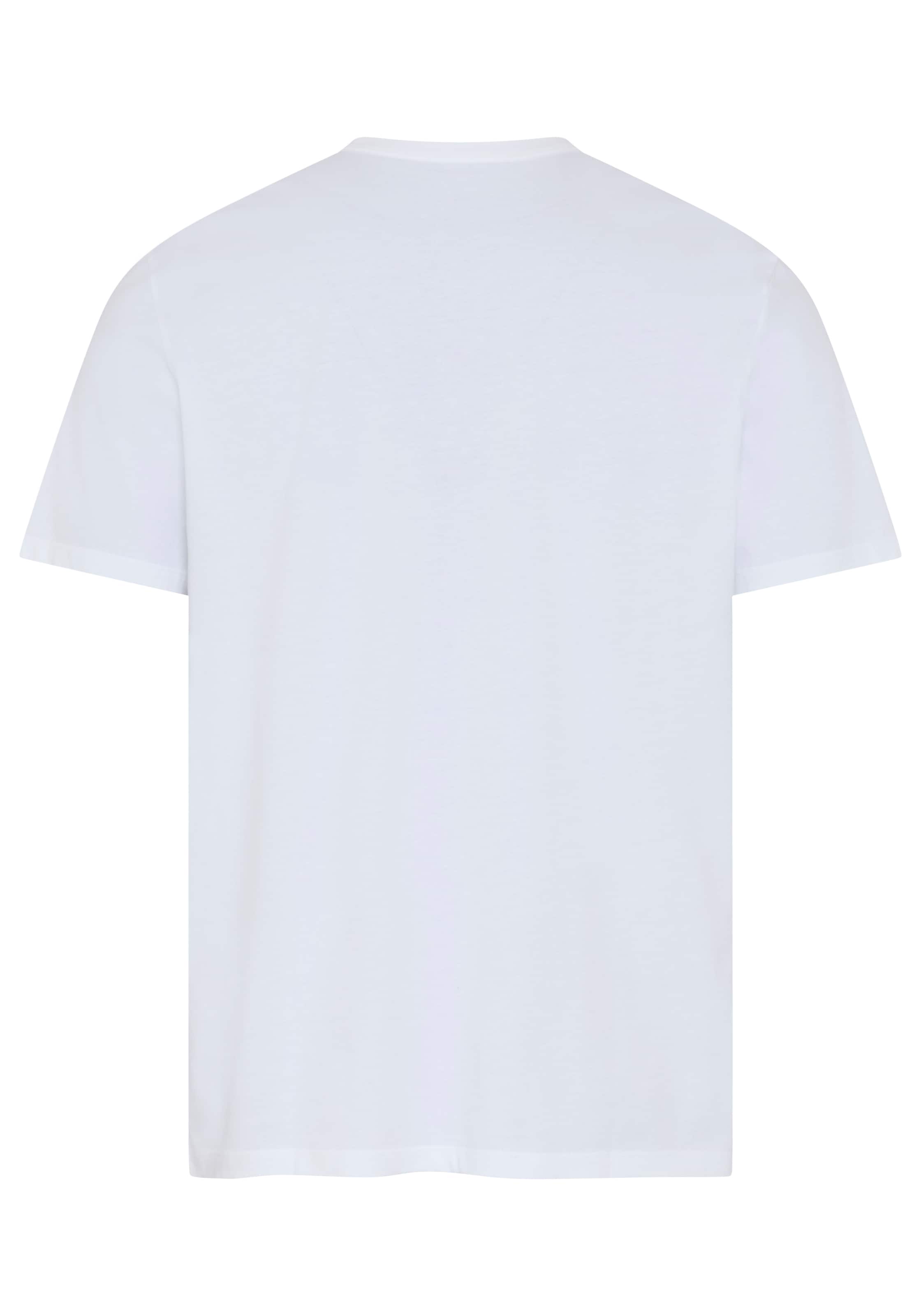 Calvin Klein Jeans T-Shirt »CALVIN KLEIN GRAP« Regular fit mit Markenprint