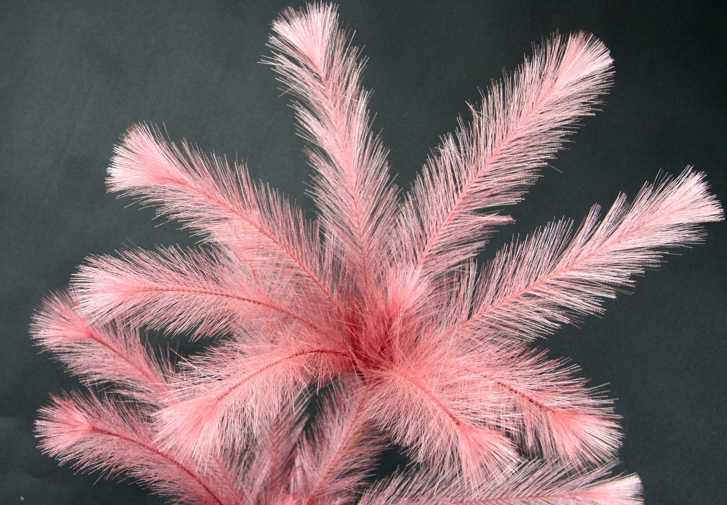 I.GE.A. Kunstzweig »Federzweig« In Keramikvase