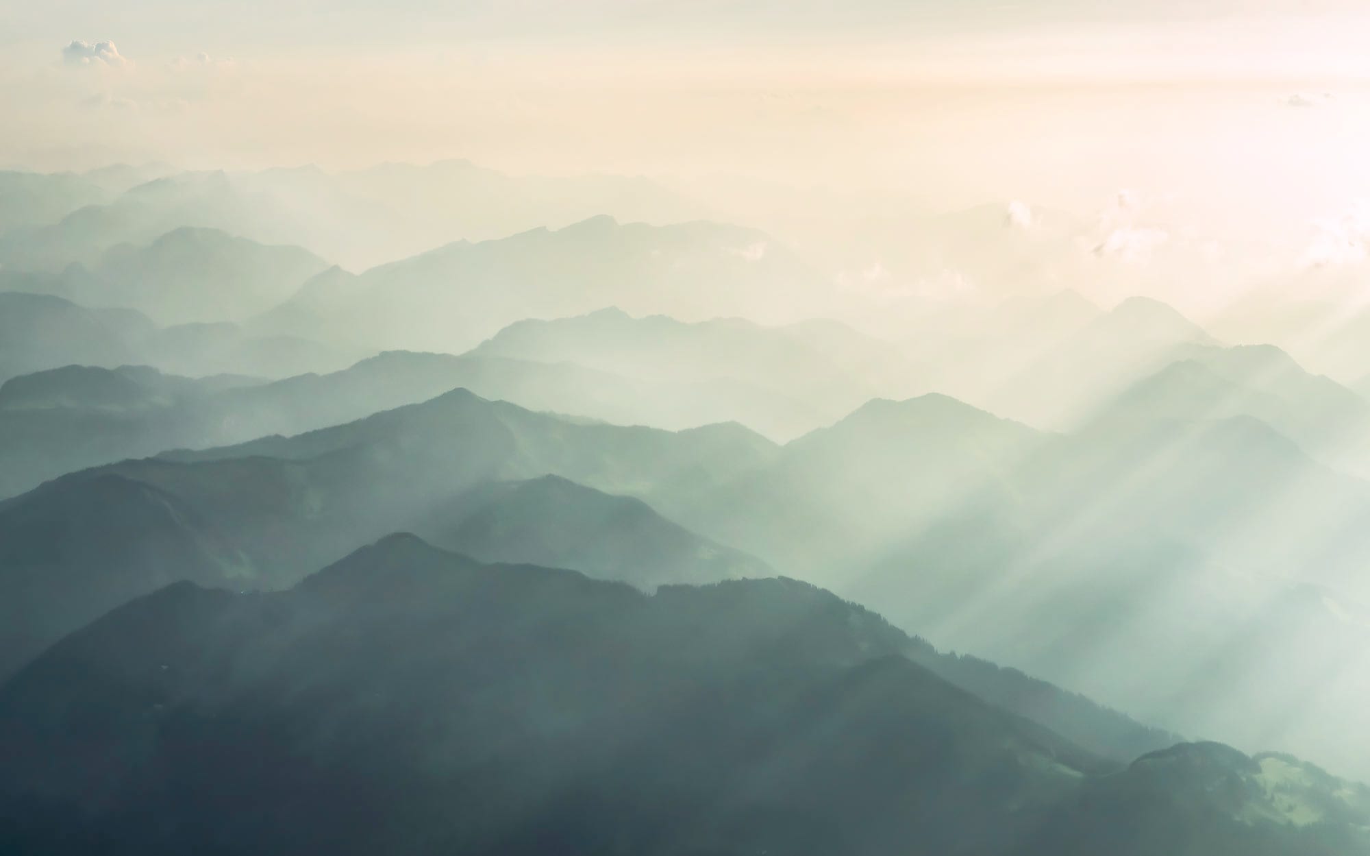 Komar Fototapete »Digitaldruck Vlies - Hazy Hills - Größe 400 x 250 cm«, bedruckt-floral-geblümt-gemustert-tropisch, Wohnzimmer, Schlafzimmer