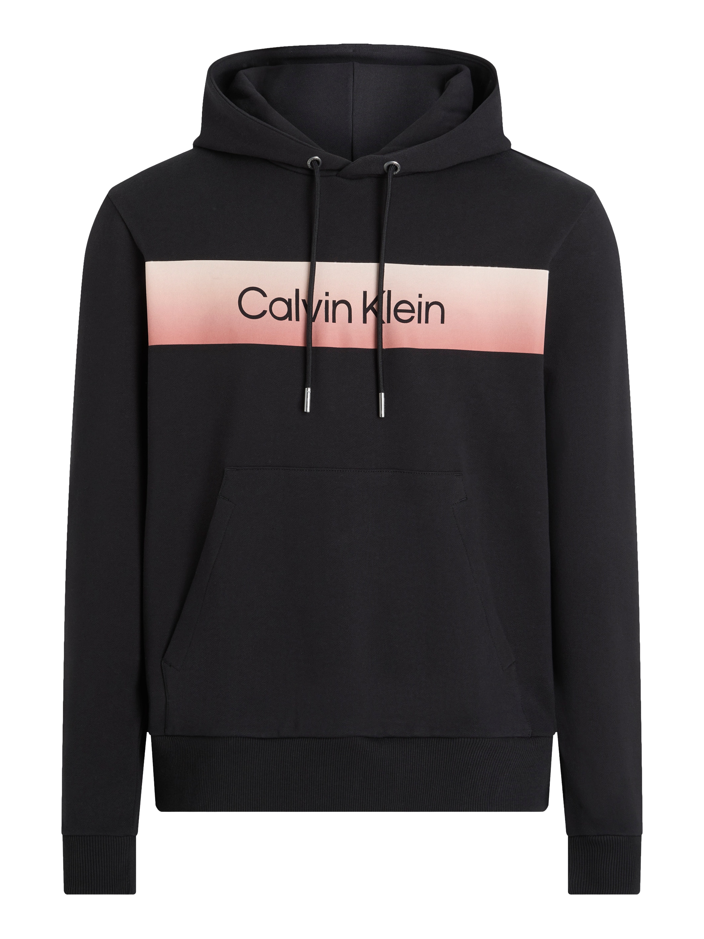 Calvin Klein Hoodie »LINEAR OMBRE CHEST LOGO HOODIE«, mit Logo