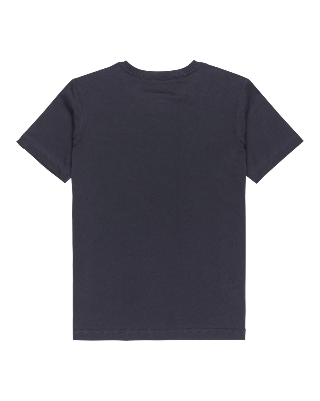 Quiksilver T-Shirt »Ev Stay Palm«