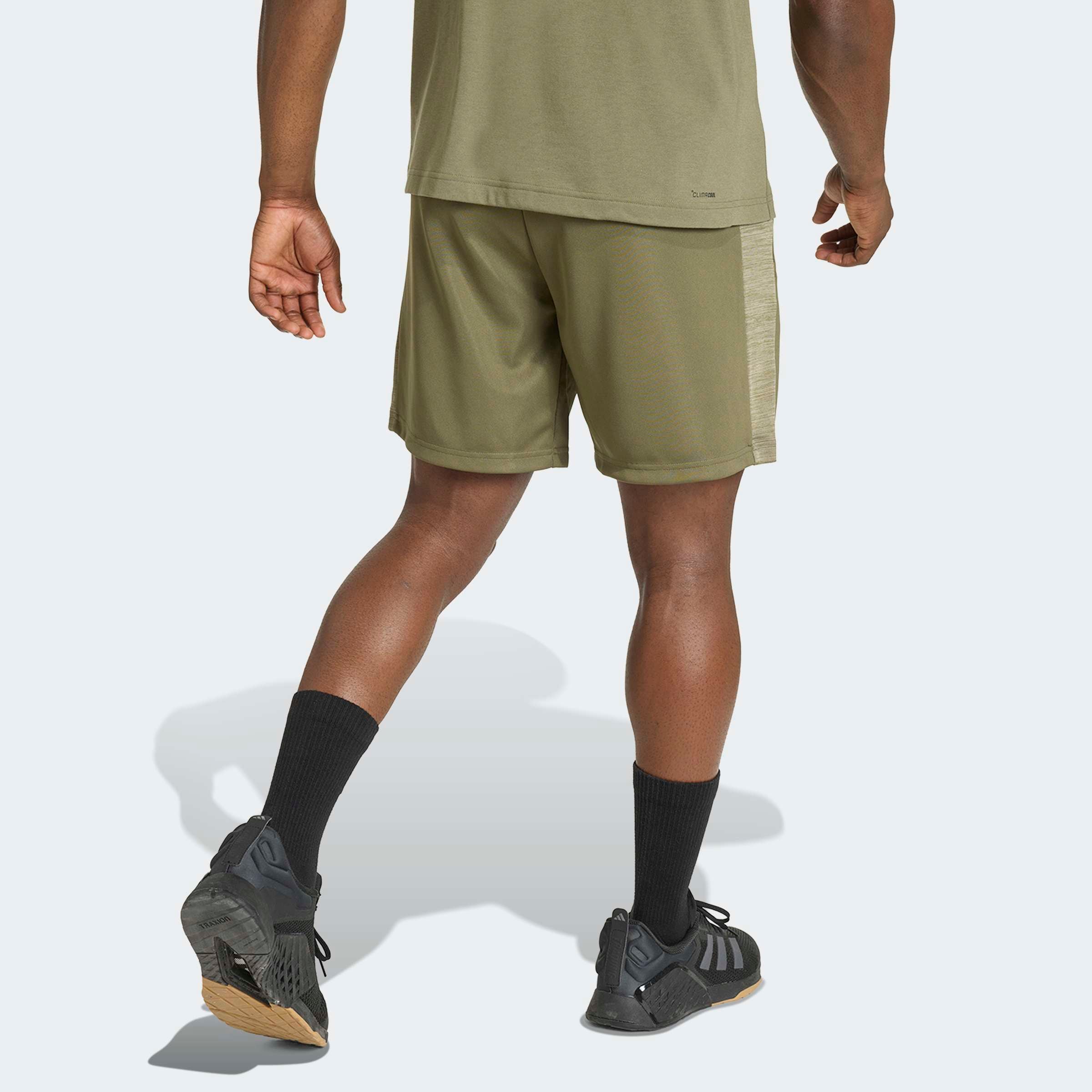 adidas Performance Shorts »WORKOUT ESSENTIALS ALL-SET«