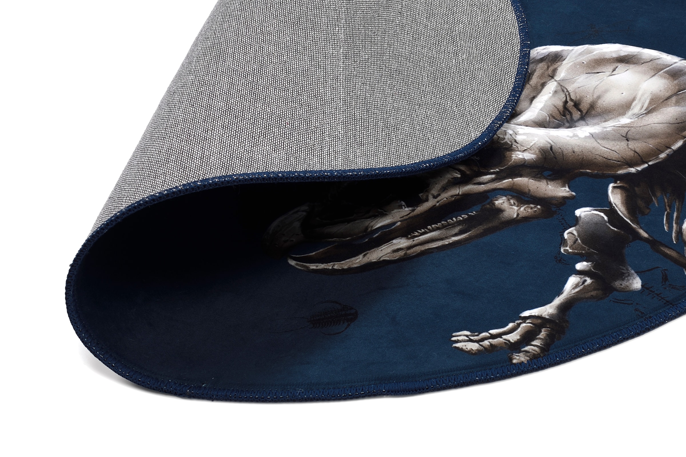 Böing Carpet Kinderteppich »T-Rex World 831«, rund, 6 mm Höhe, Motiv T-Rex, Dinosaurier Skelett