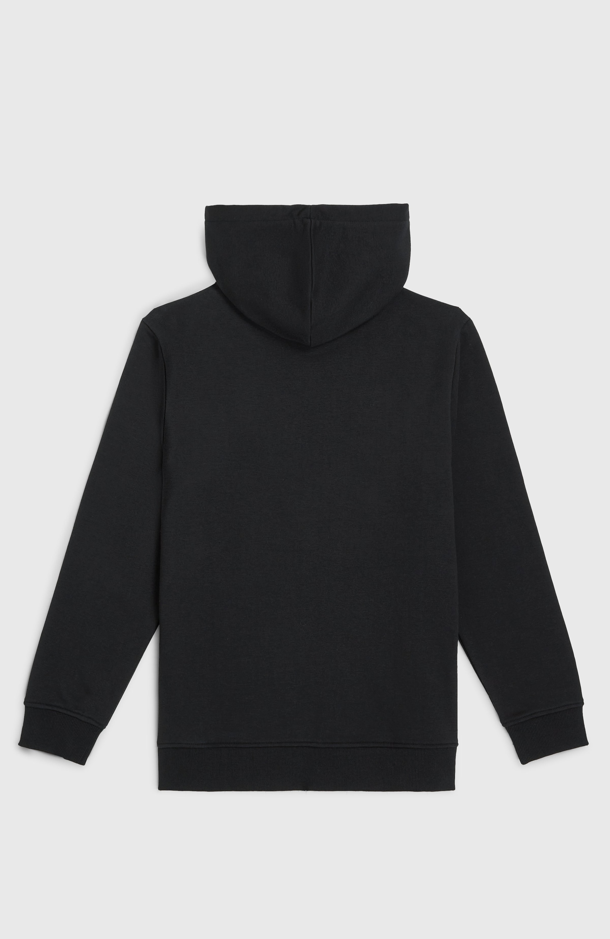 O'Neill Kapuzensweatshirt »ESSENTIALS HOODIE«, (1 tlg.)