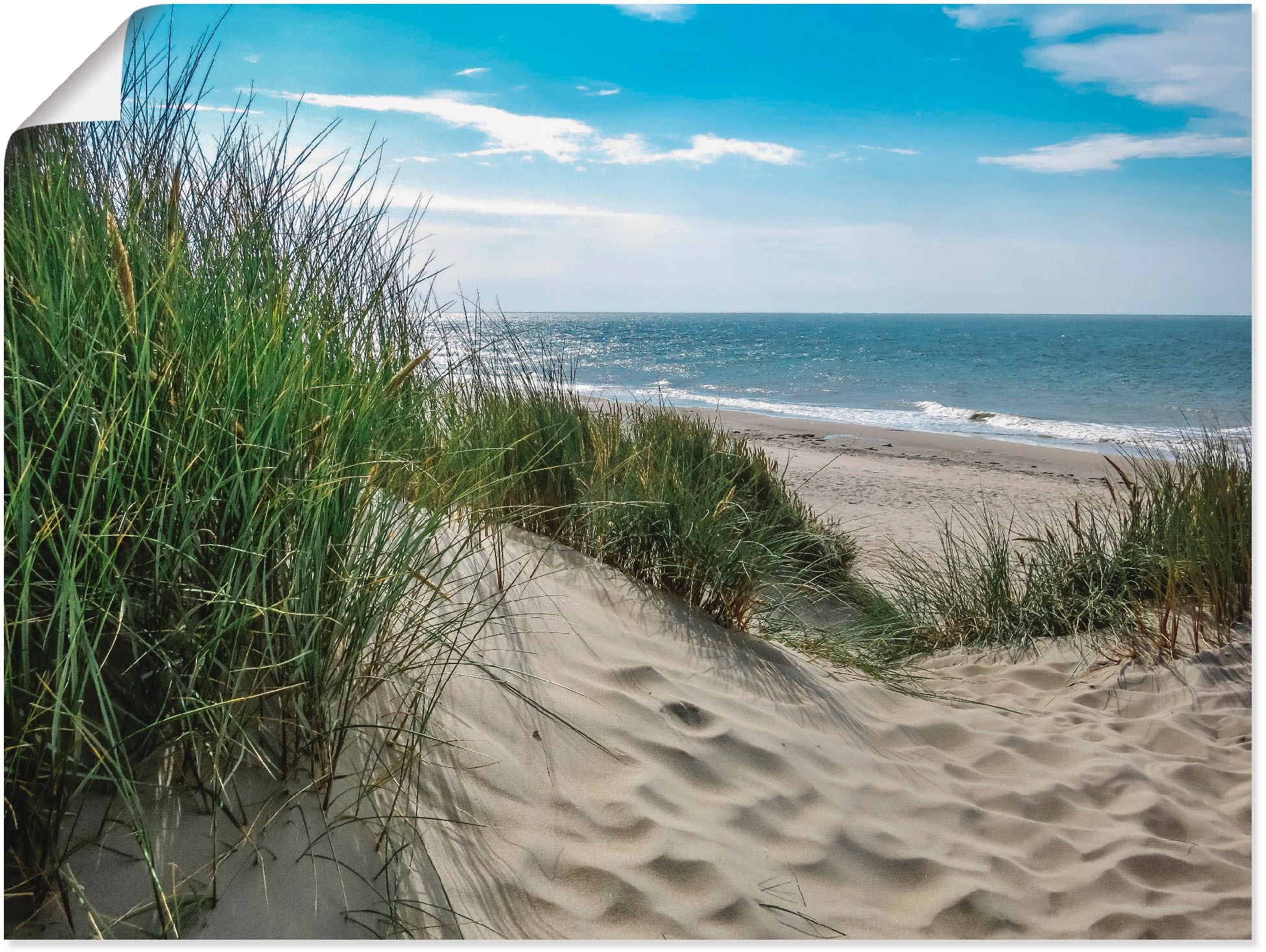 Artland Wandbild »Dünenlandschaft im Sommer an der Nordsee« Strand 1 Stk. tlg. als Leinwandbild, Poster in verschied. Größen