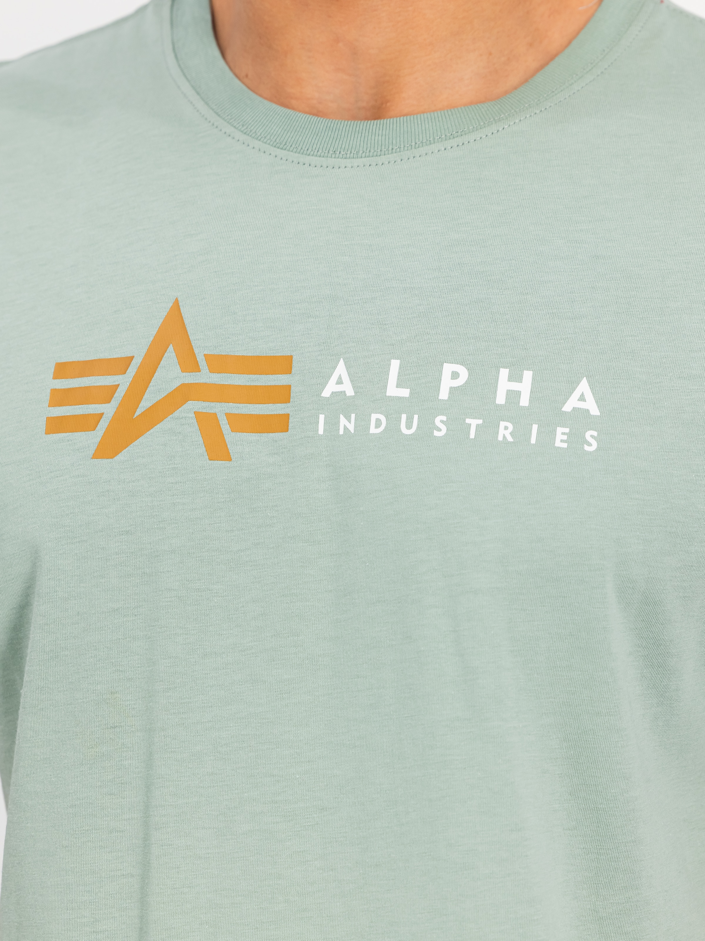 Alpha Industries Kurzarmshirt »Alpha Label T«