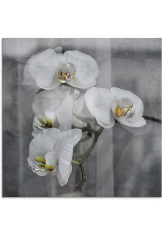 Glasbild »Weisse Orchideen - white Orchid«, Blumen, (1 St.)