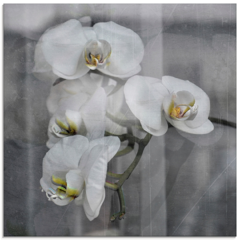 Artland Glasbild »Weisse Orchideen - white Orchid«, Blumen, (1 St.)
