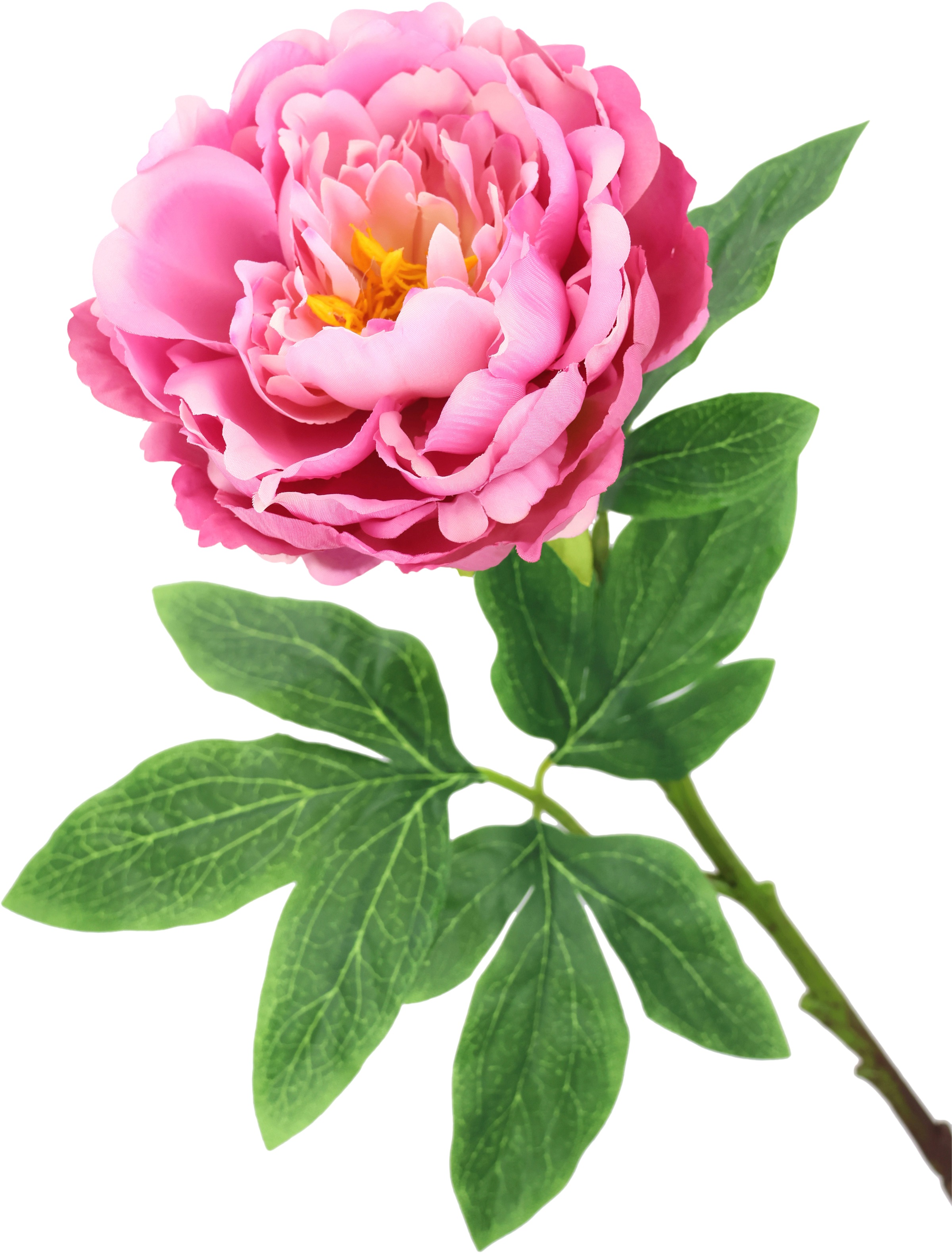 I.GE.A. Kunstblume »Päonie Bauernrose« Pfingstrosen Einzelblume, 3er Set