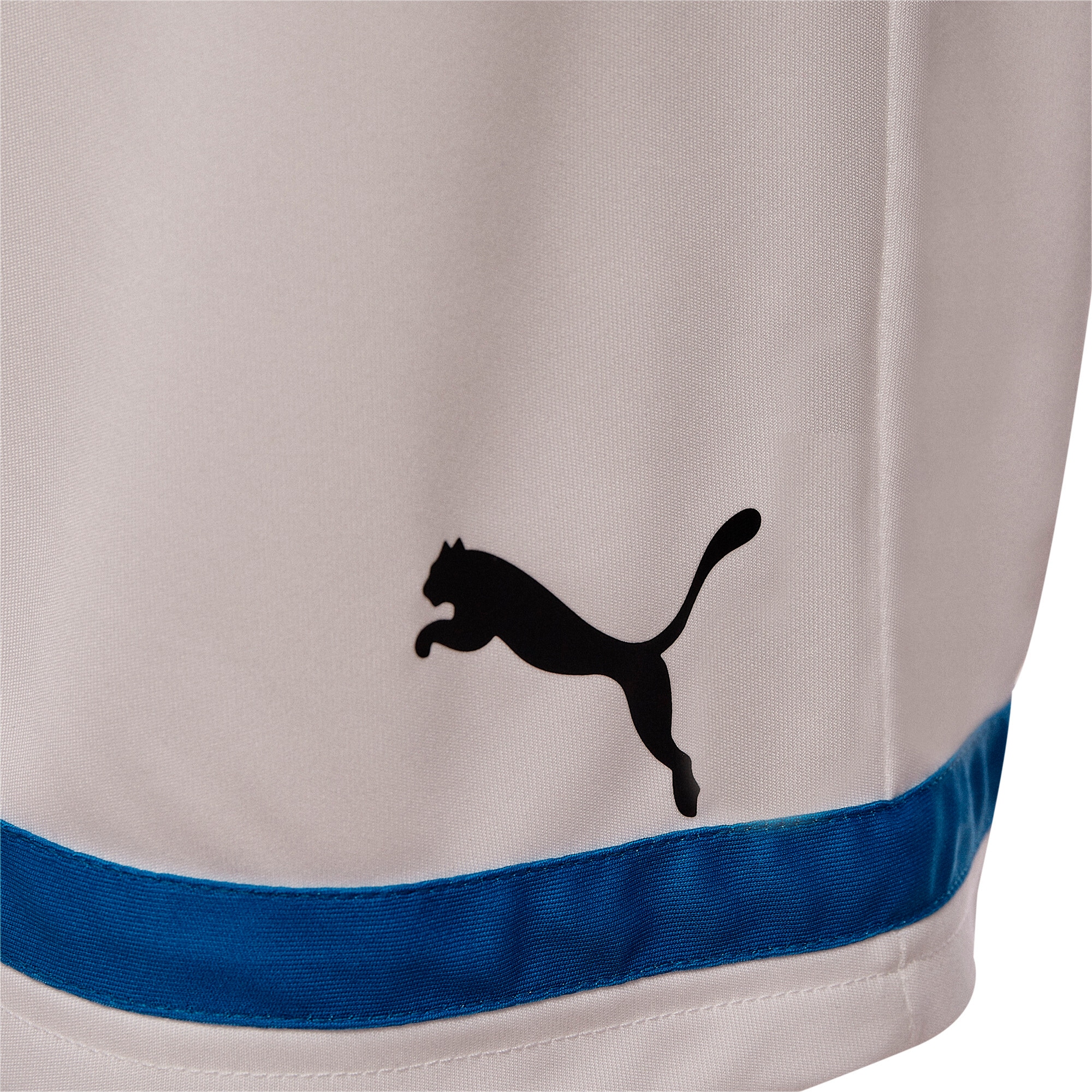 PUMA Trainingsshorts »LIGA SHORTS CORE«