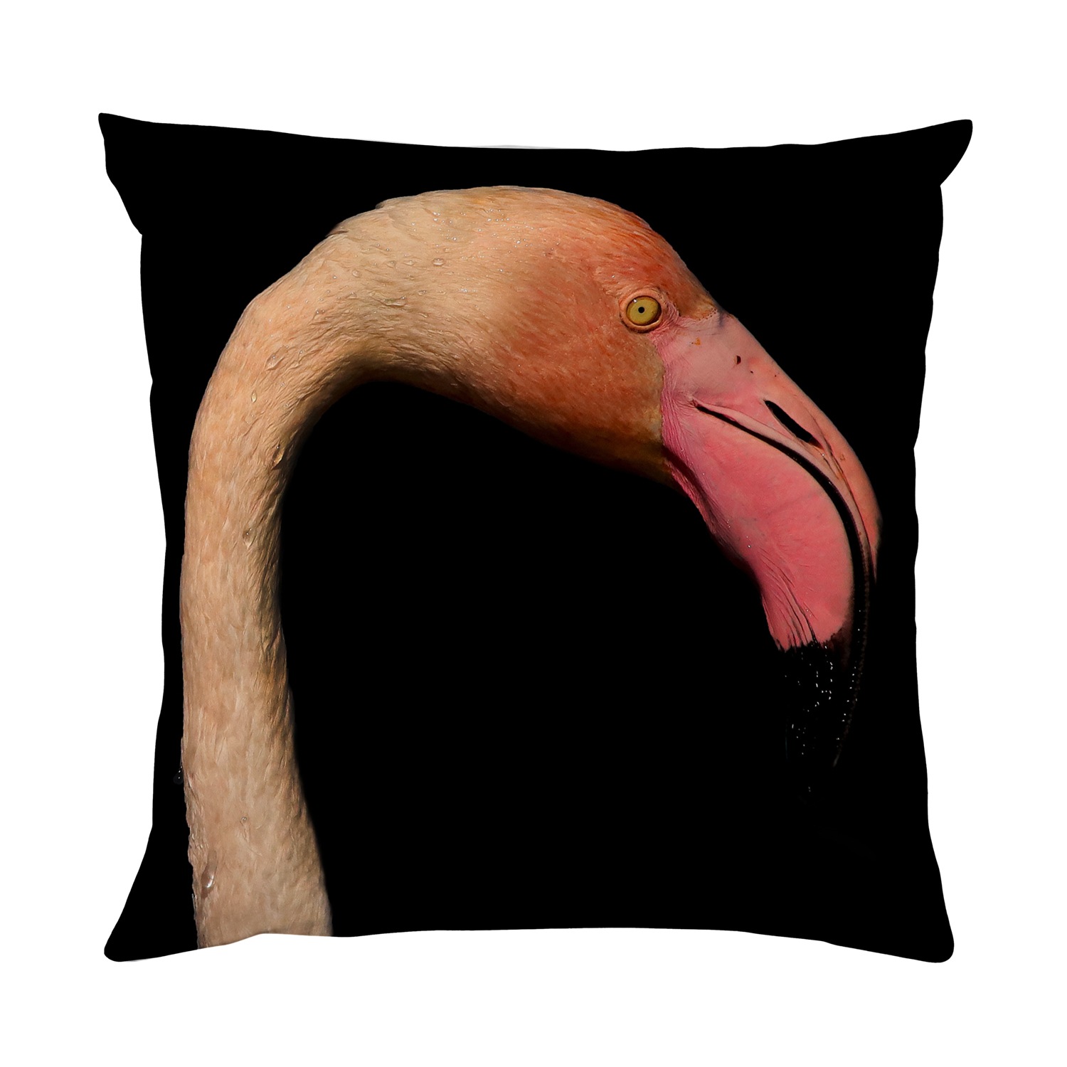 queence Dekokissen »Flamingo«, Kissenhülle mit HD Premium Druck, geruchsneutral, 40x40cm