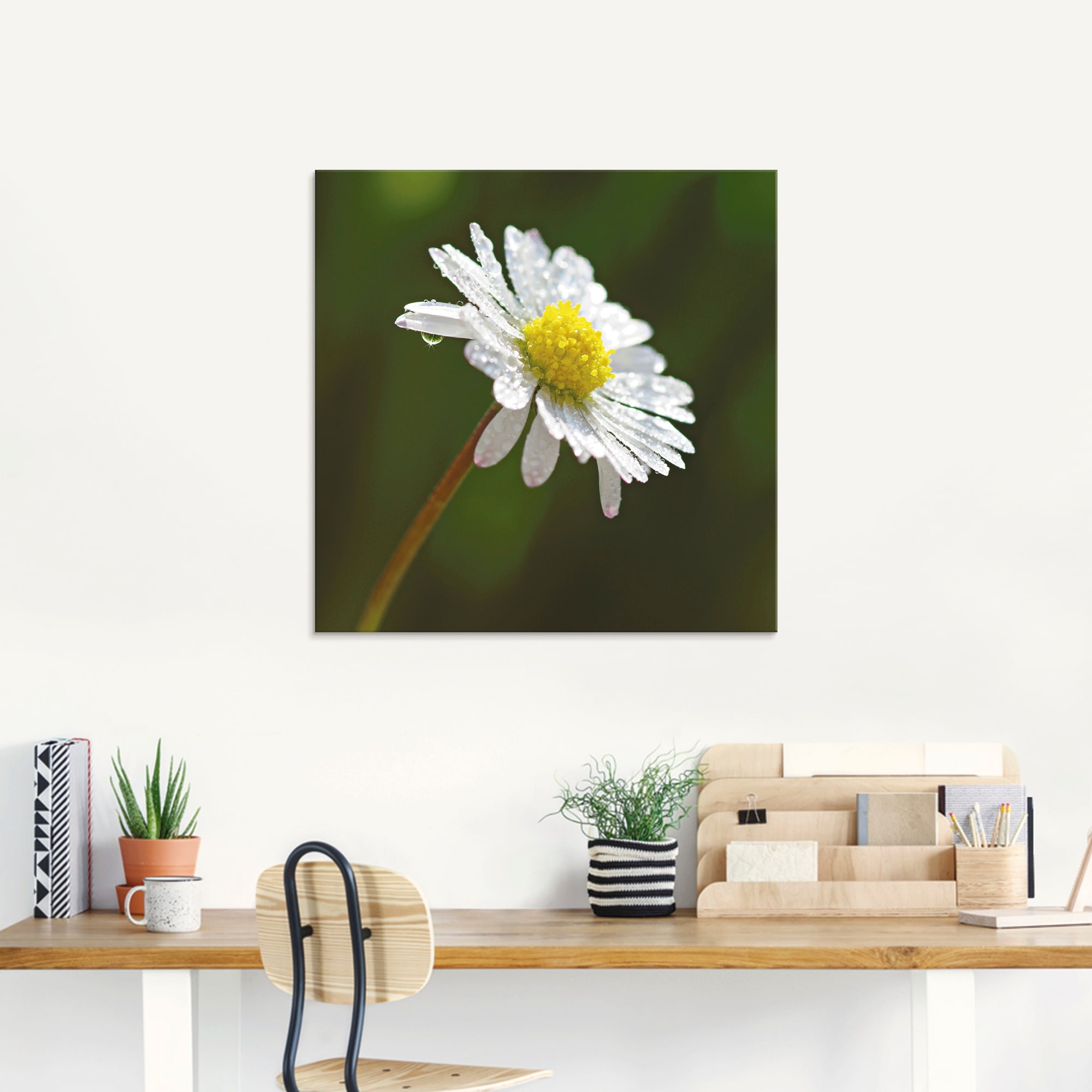 Artland Glasbild »Gänseblümchen« Blumen 1 Stk. tlg. in verschiedenen Größen