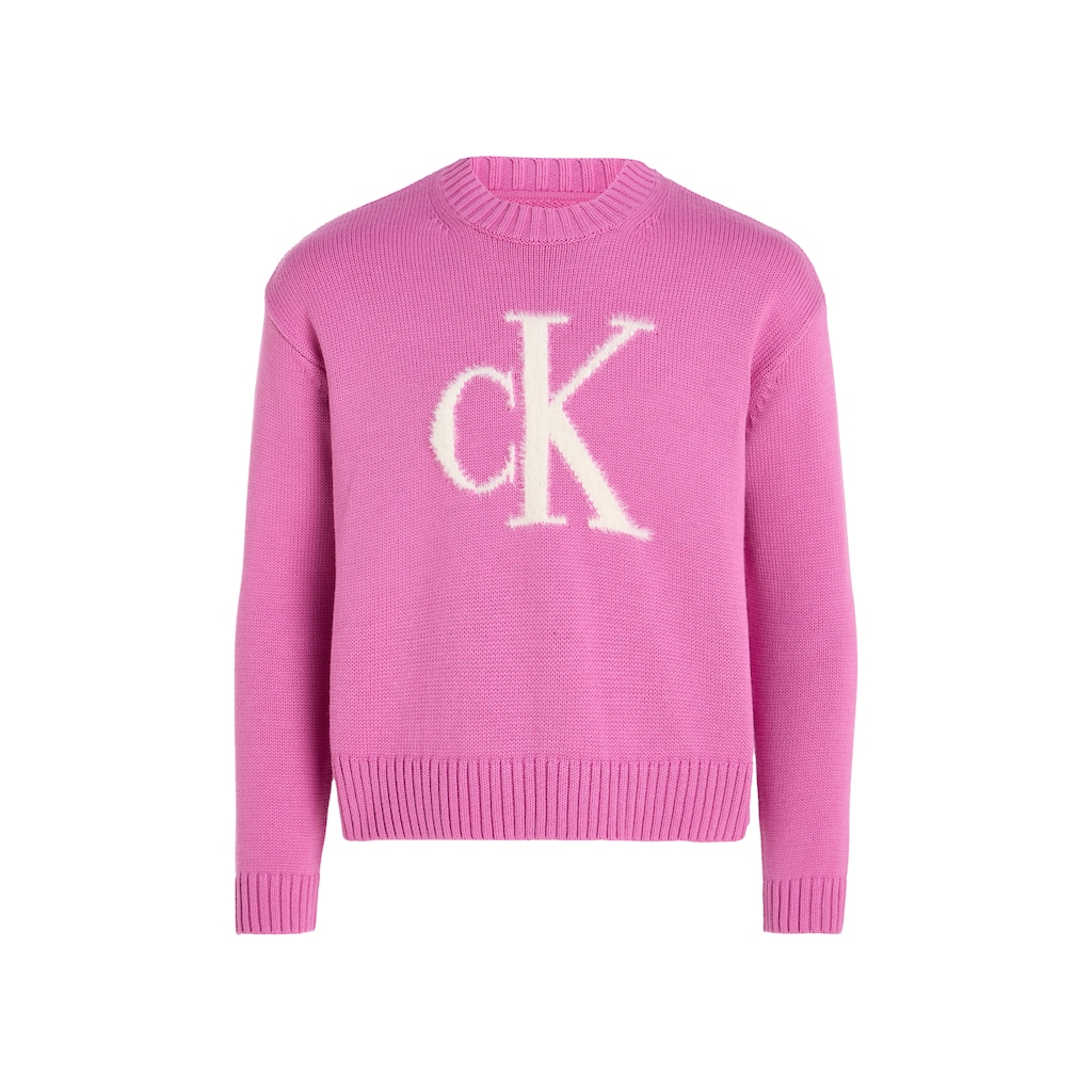 Calvin Klein Jeans Rundhalspullover »FLUFFY MONOGRAM SWEATER«