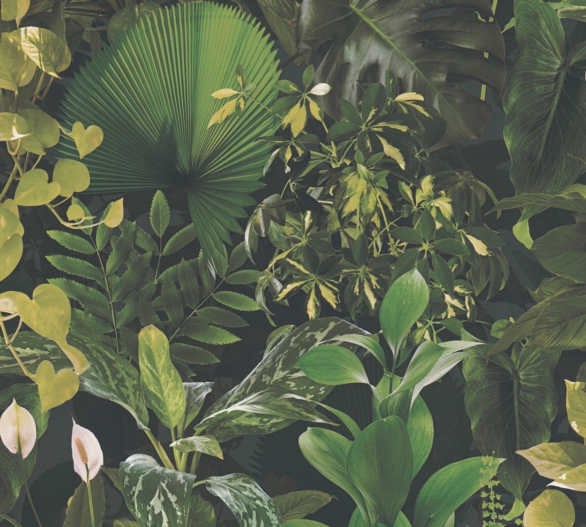 A.S. Création Vliestapete »PintWalls II Dschungel-Tapete Mustertapete Pflanzen Natur« matt strukturiert Vliestapete floral für Schlafzimmer Küche Wohnzimmer Dschungel Design