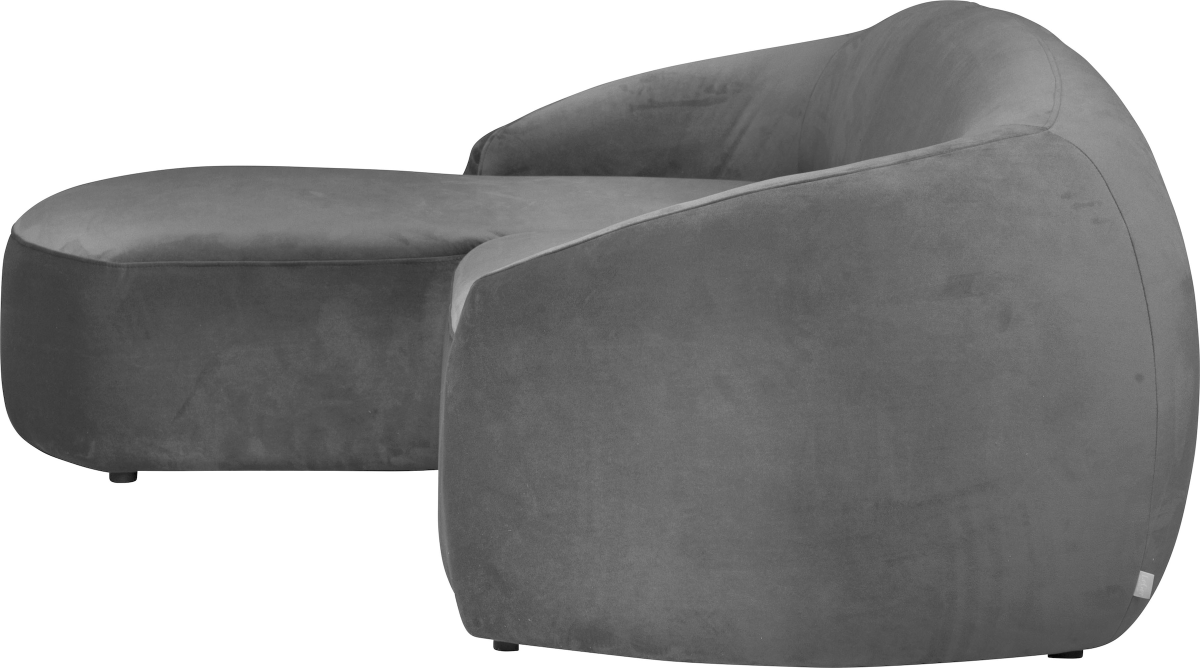 LeGer Home by Lena Gercke Ecksofa »L-Form, Designersofa, organische Form, Maße B/T/H: 255/170/81 cm«, mit Wellenunterfederung, auch in Bouclé, Recamiere rechts/links