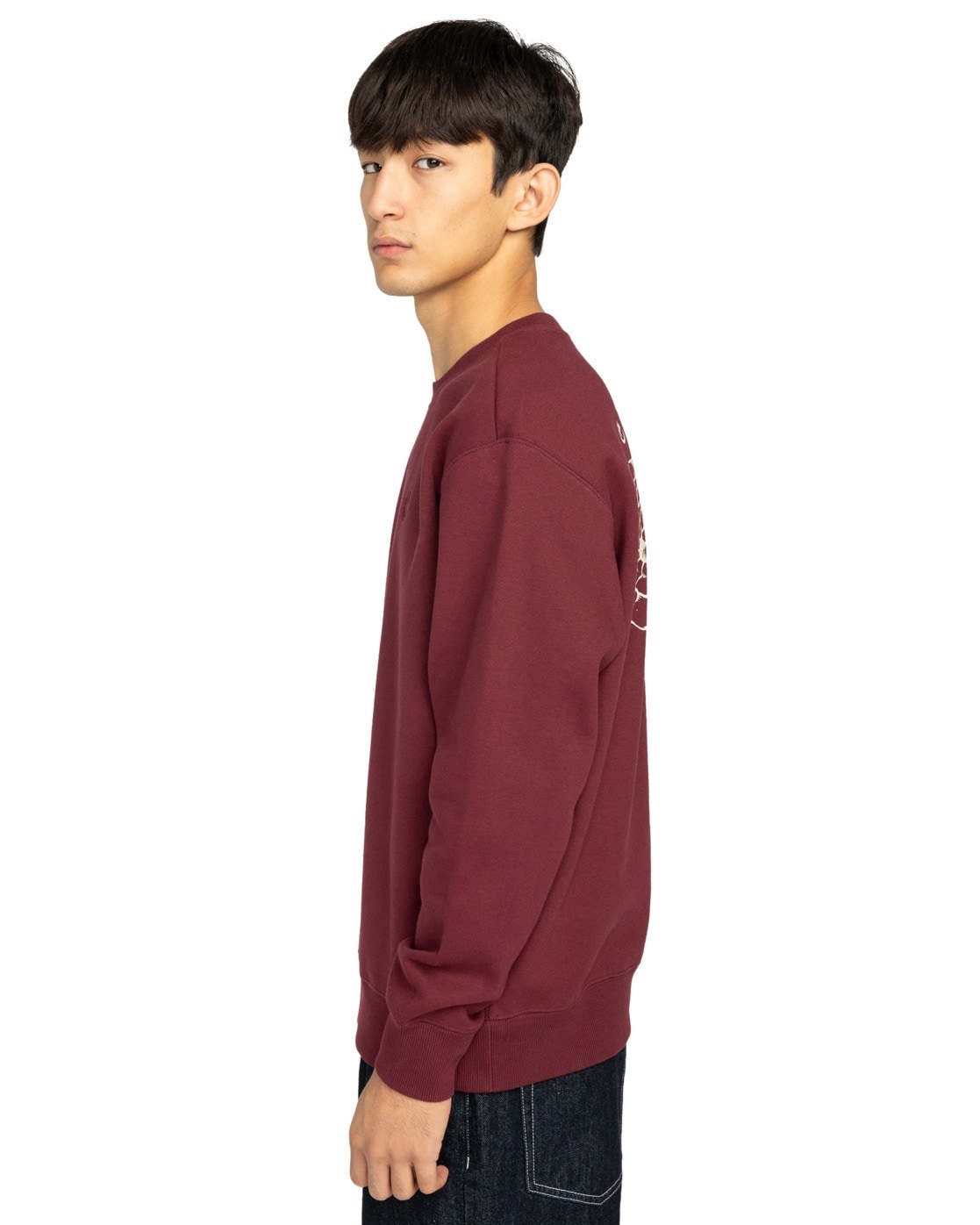 Element Sweatshirt »Aligator«