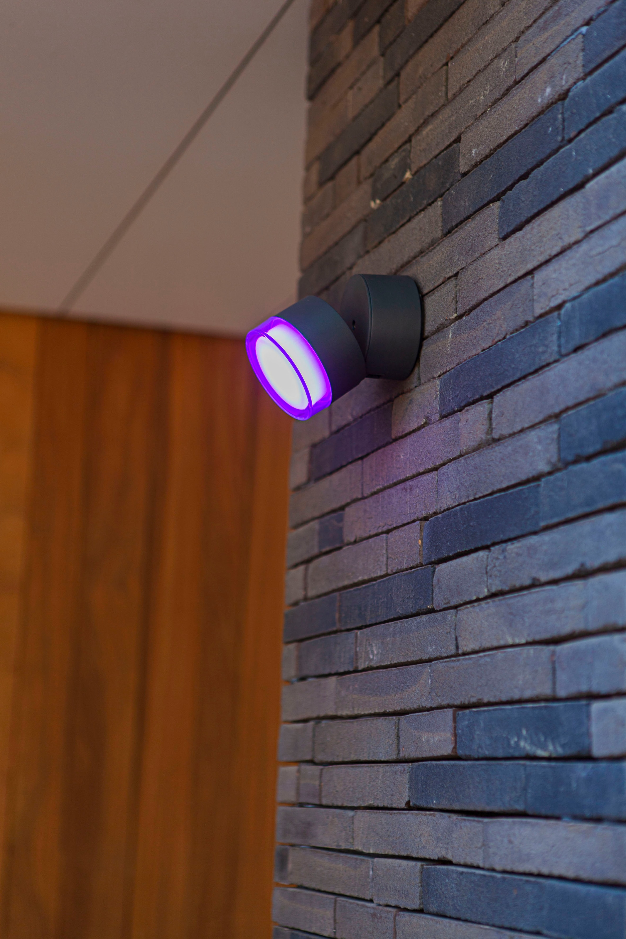 LUTEC Smarte LED-Leuchte »DROPSI«, Leuchtmittel LED-Modul | LED fest integriert, Smart-Home