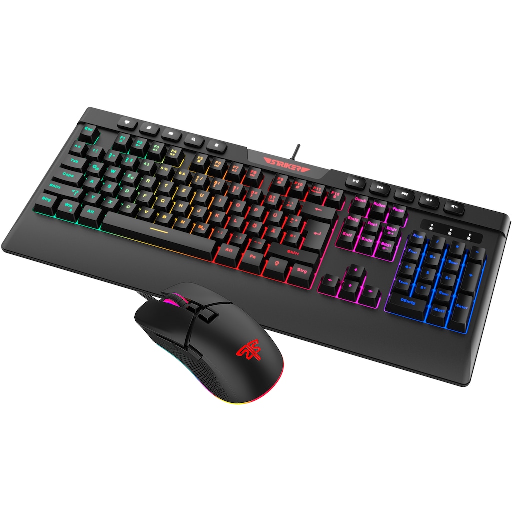 Hyrican Tastatur- und Maus-Set »Striker Gaming Sparset Level Bronze«, (ST-GKB8115 + ST-GM005)