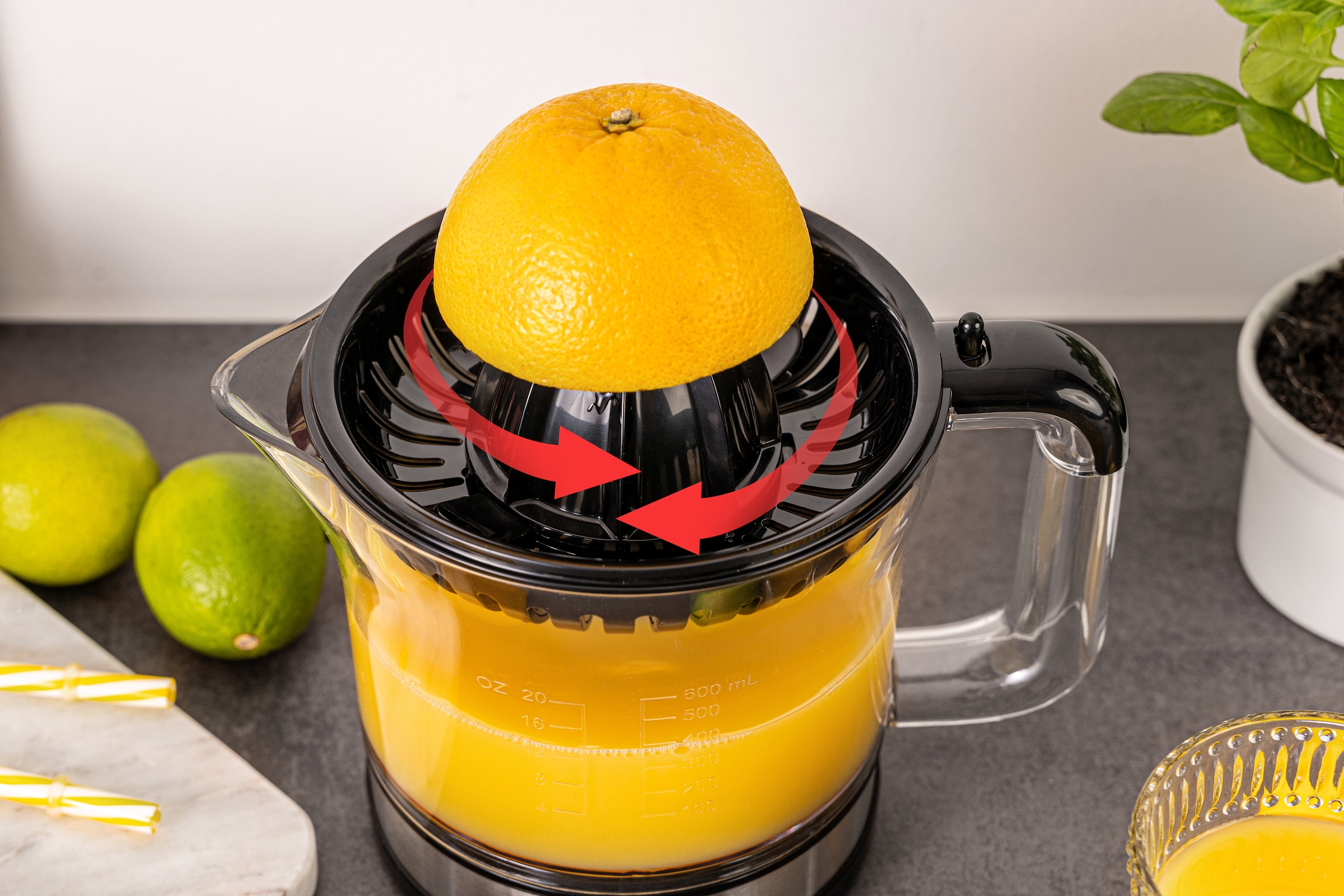 Rommelsbacher Zitruspresse »ZP 50« 30 W