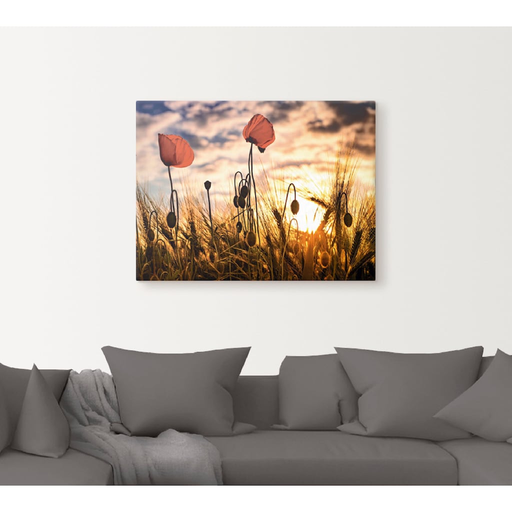 Artland Wandbild »Mohnblumen im Sonnenuntergang«, Blumen, (1 St.), als Alubild, Outdoorbild, Leinwandbild, Poster, Wandaufkleber
