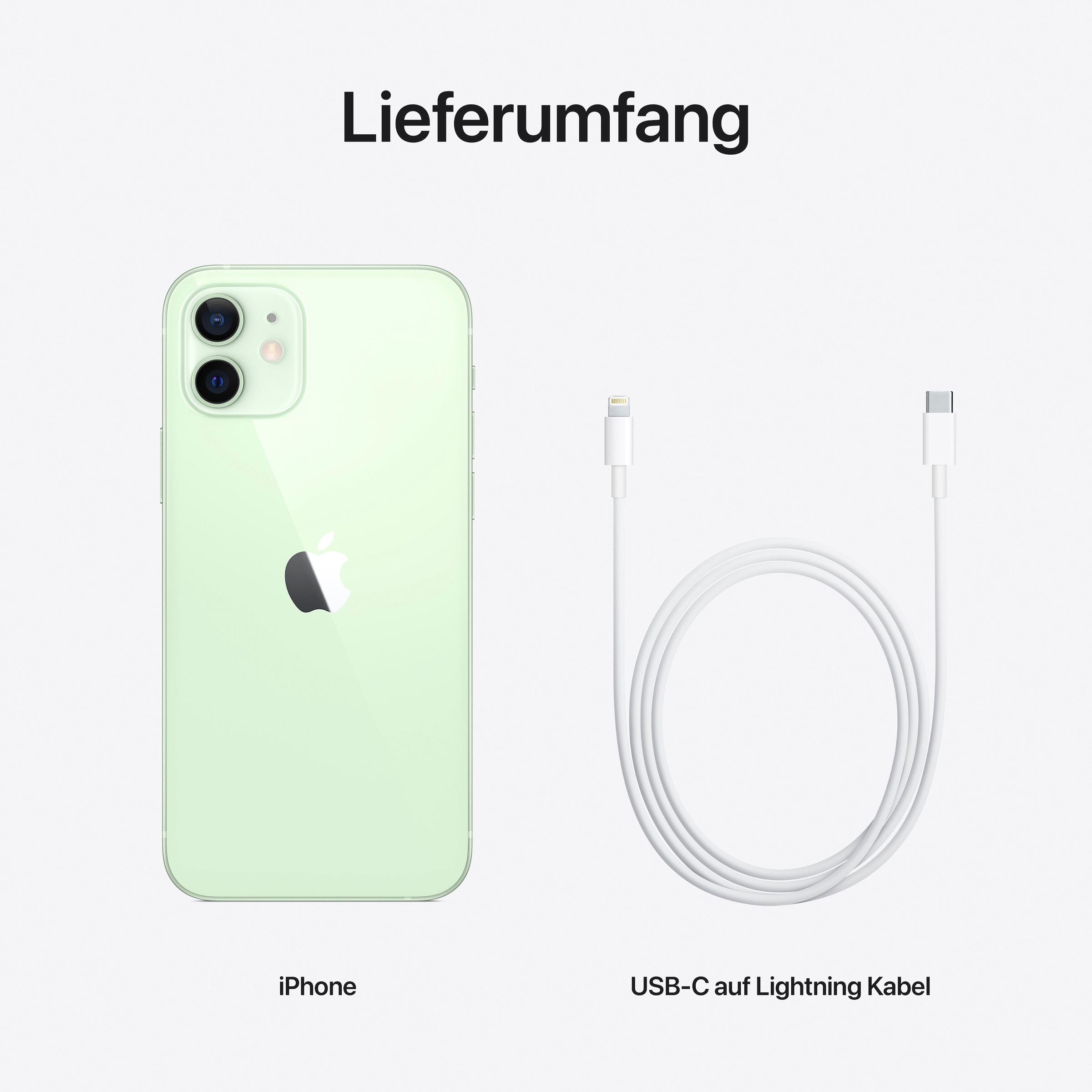 Apple Smartphone »iPhone 12 64GB«, grün, ohne Strom Adapter und Kopfhörer, kompatibel mit AirPods, Earpods