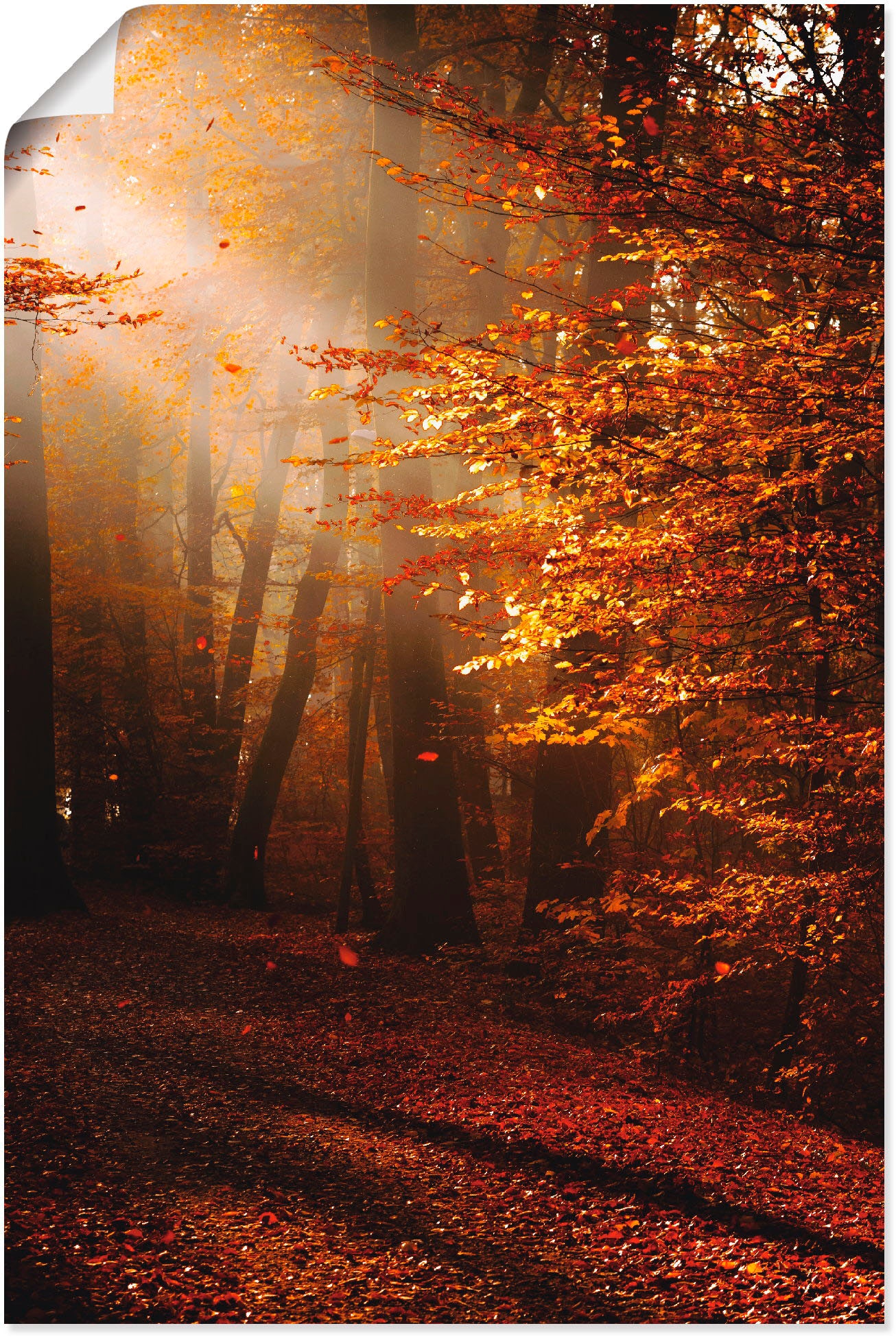 Wandbild »Sonnenaufgang im Herbst«, Wald, (1 St.), als Leinwandbild, Poster in...
