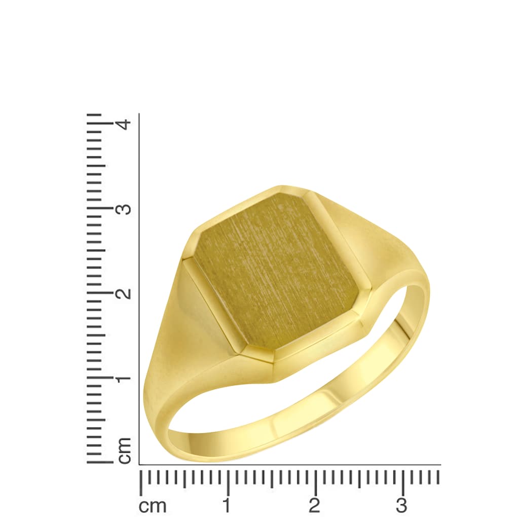 Firetti Goldring »Schmuck Geschenk Gold 375 Herrenring Goldring«