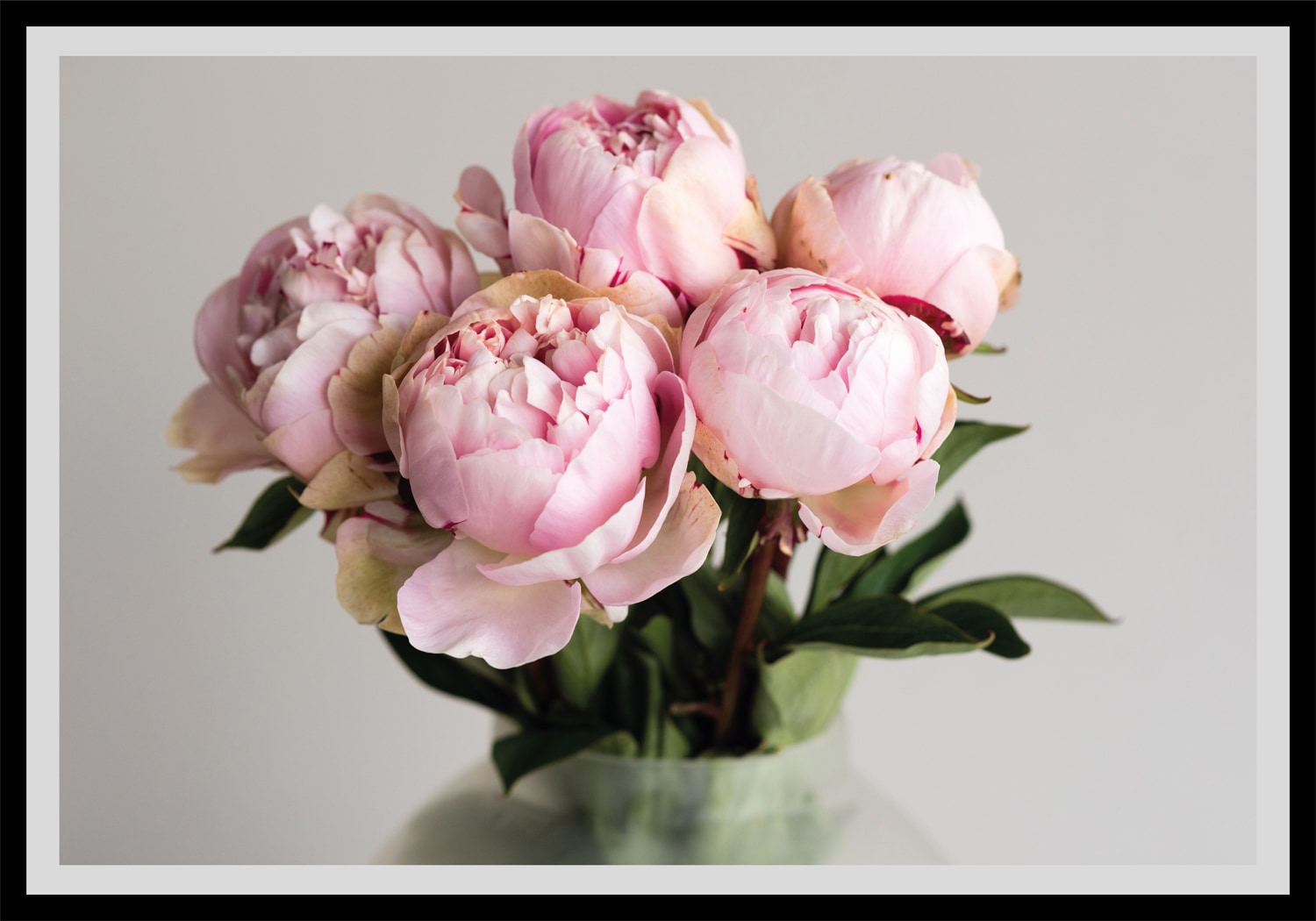 Bild »Gudrun«, Blumen, gerahmt, Rosen