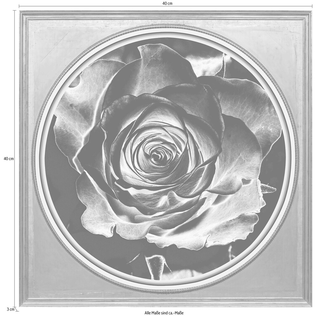 queence Acrylglasbild »Rose Sepia«